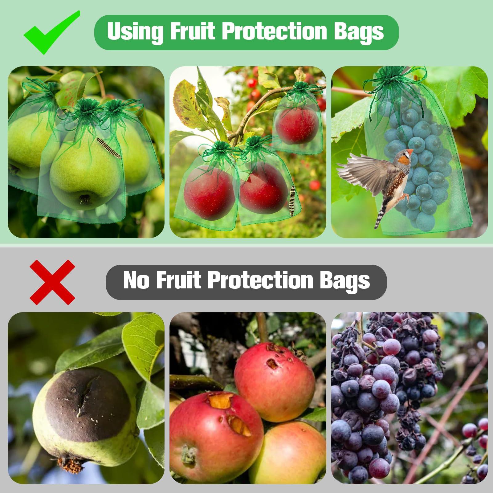 180 Pcs Fruit Protection Bags for Fruit Trees, Green Fruit Netting Cover Bags 3 Size Garden Netting Bags with Drawstring Mesh Barrier Bags for Plant Flower Vegetable Fruit Organza Bags Netting - Image 6