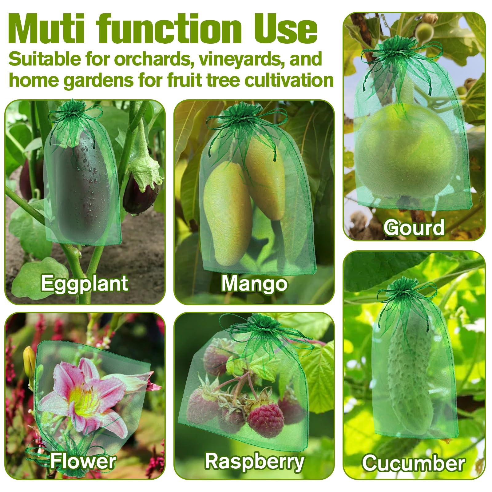 180 Pcs Fruit Protection Bags for Fruit Trees, Green Fruit Netting Cover Bags 3 Size Garden Netting Bags with Drawstring Mesh Barrier Bags for Plant Flower Vegetable Fruit Organza Bags Netting - Image 7