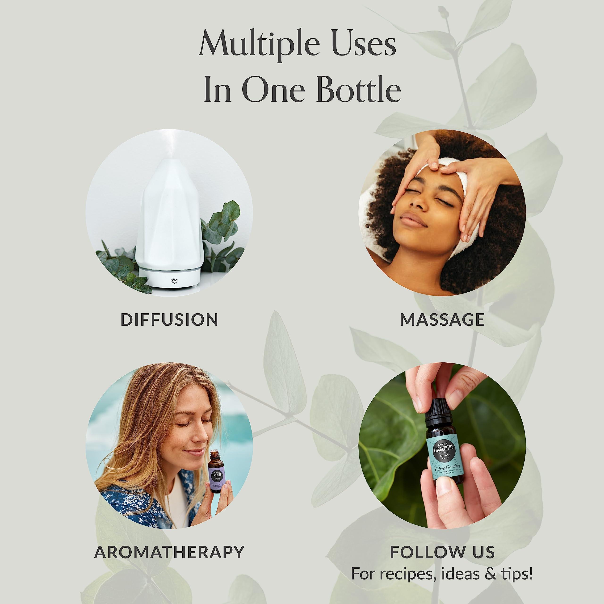 Edens Garden Health & Wellness Essential Oils 3 Set – 100% Pure Therapeutic Grade, Natural Undiluted Aromatherapy Blends - Oil for Immune Support, Household Cleaning & Air Freshening, 10 ml/ 3 Pack - Image 3