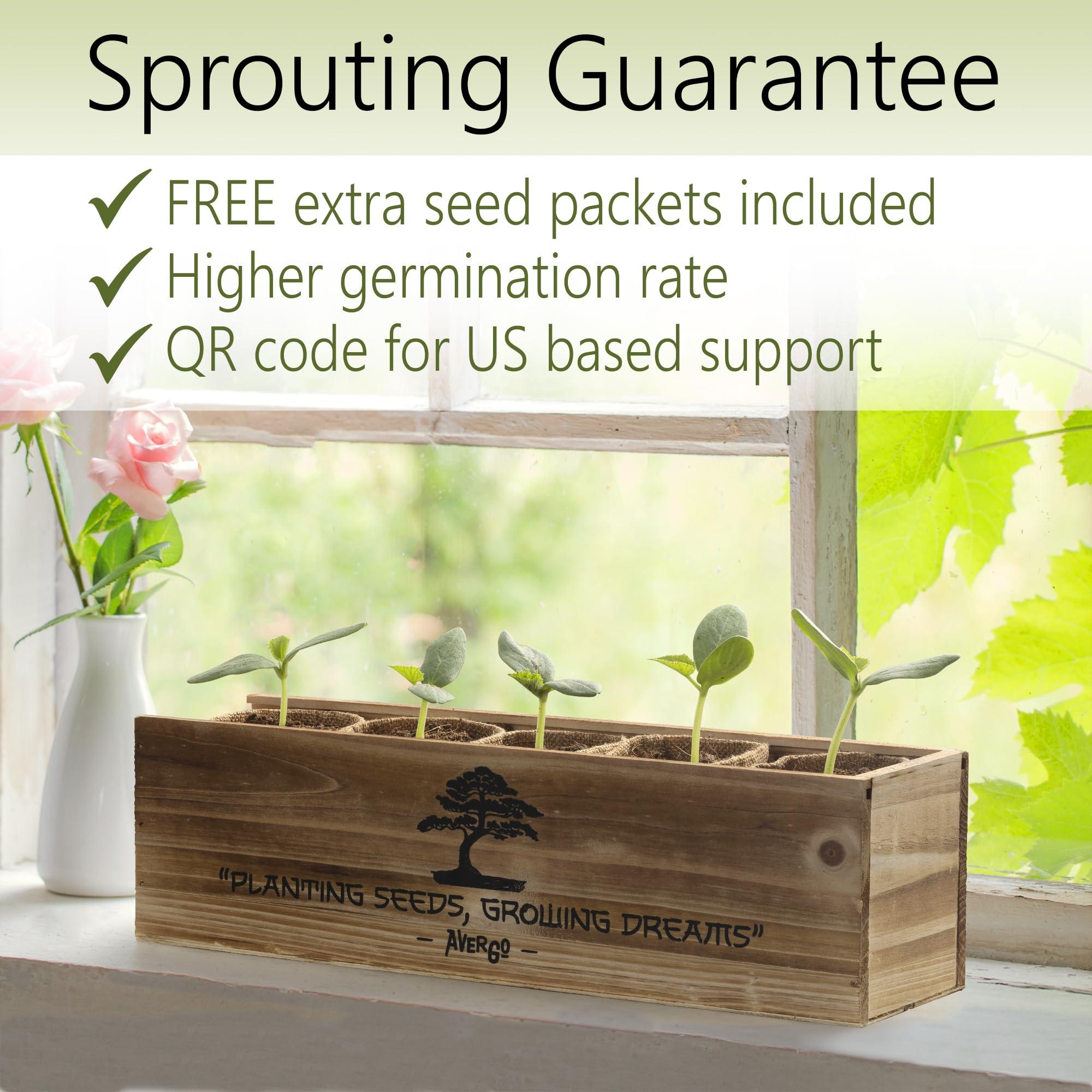 Avergo Bonsai Tree Kit – 5X Unique Japanese Bonzai Trees | Complete Indoor Starter Kit for Growing Bonsai Plants with Tools & Planters – Gardening Gifts for Women & Men - Image 4