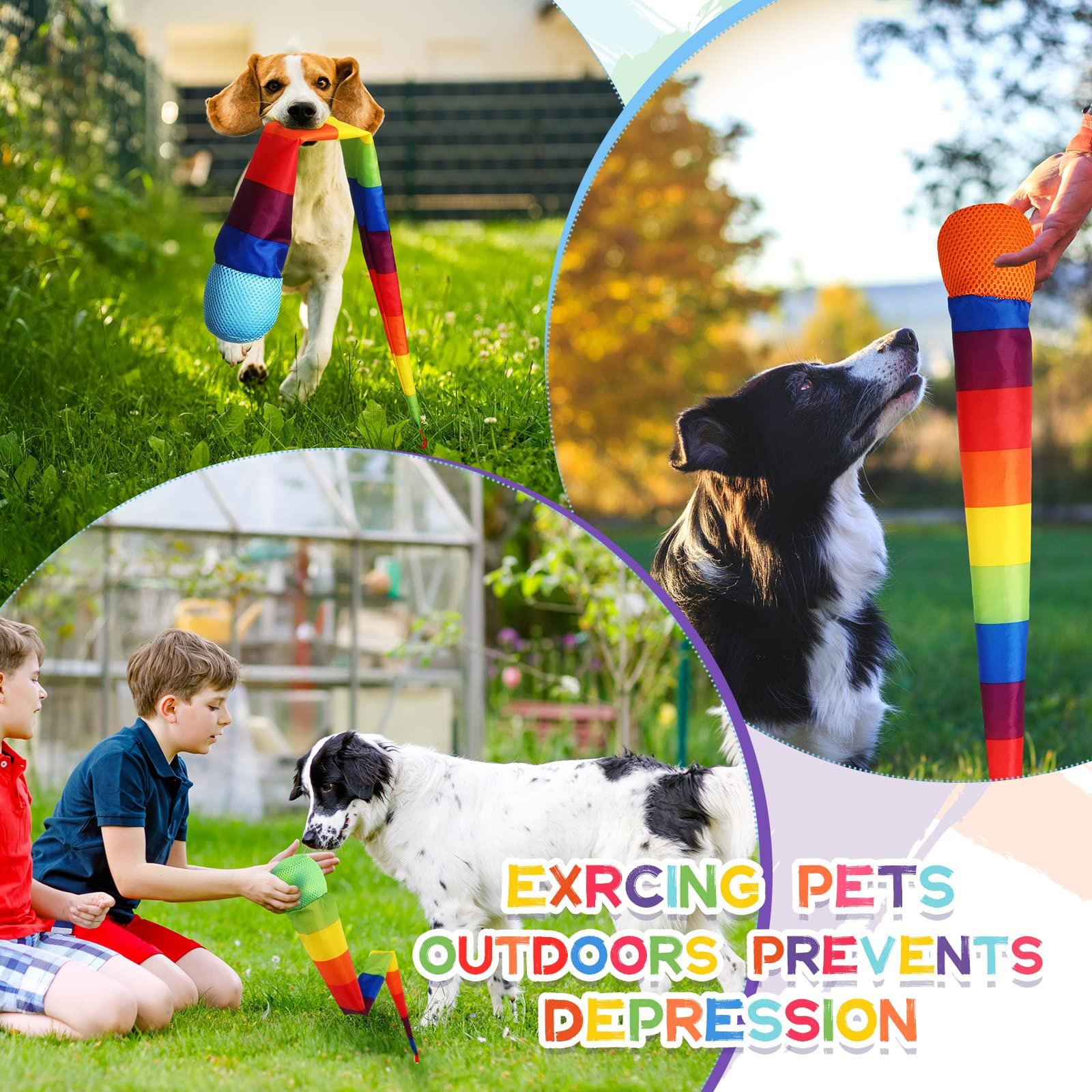 Leyndo 8 Pcs Throw and Catch Balls with Rainbow Tail, Fun Colorful Sports Comet Balls Playground Toys for School Classroom Beach Outdoor Camping Healthy and Fun Games, 26 Inch Long(Multi Color) - Image 4
