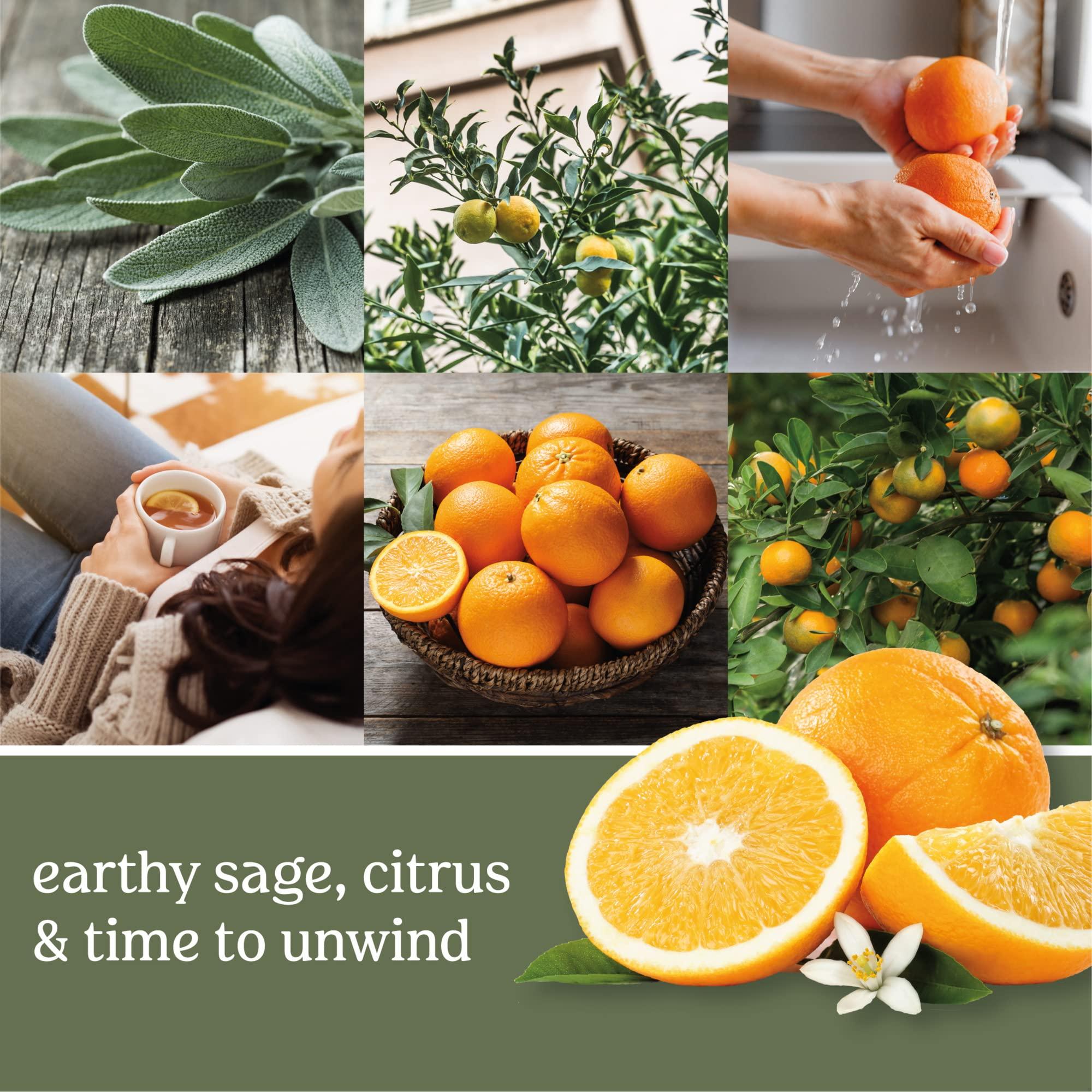 Yankee Candle Sage - Image 4
