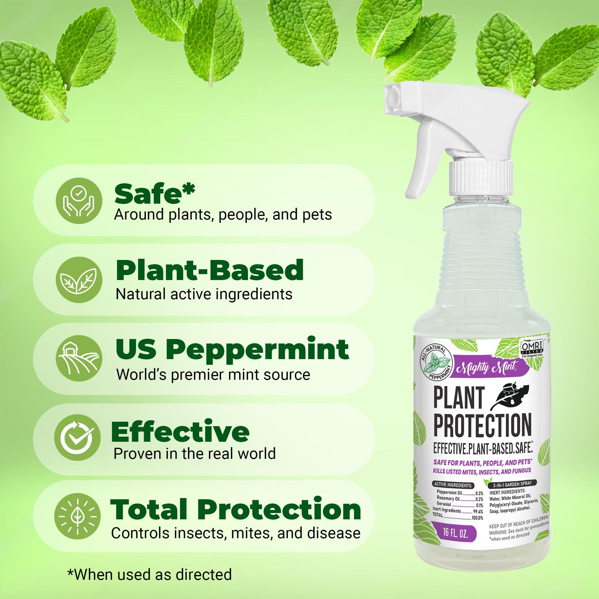 Mighty Mint Peppermint Plant Protection Spray for Insects, Gnats, Fungus, Mites, and Disease, 16 oz - Image 3