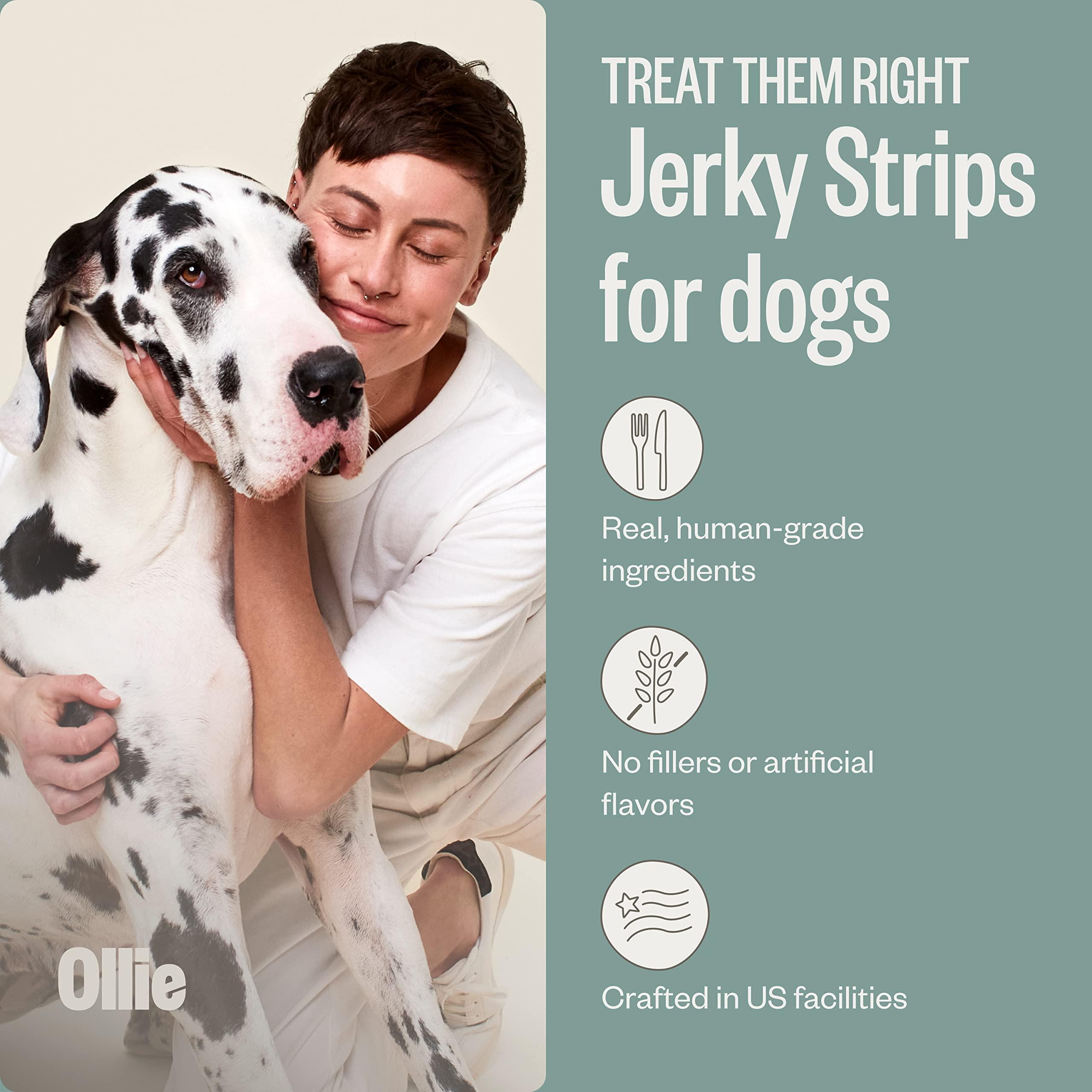 Ollie Chicken and Apple Jerky Dog Treats, 5 oz Pack of 1, All Natural, Healthy Snacks, Made with Real Meat, Human Grade, for Dogs - Image 2
