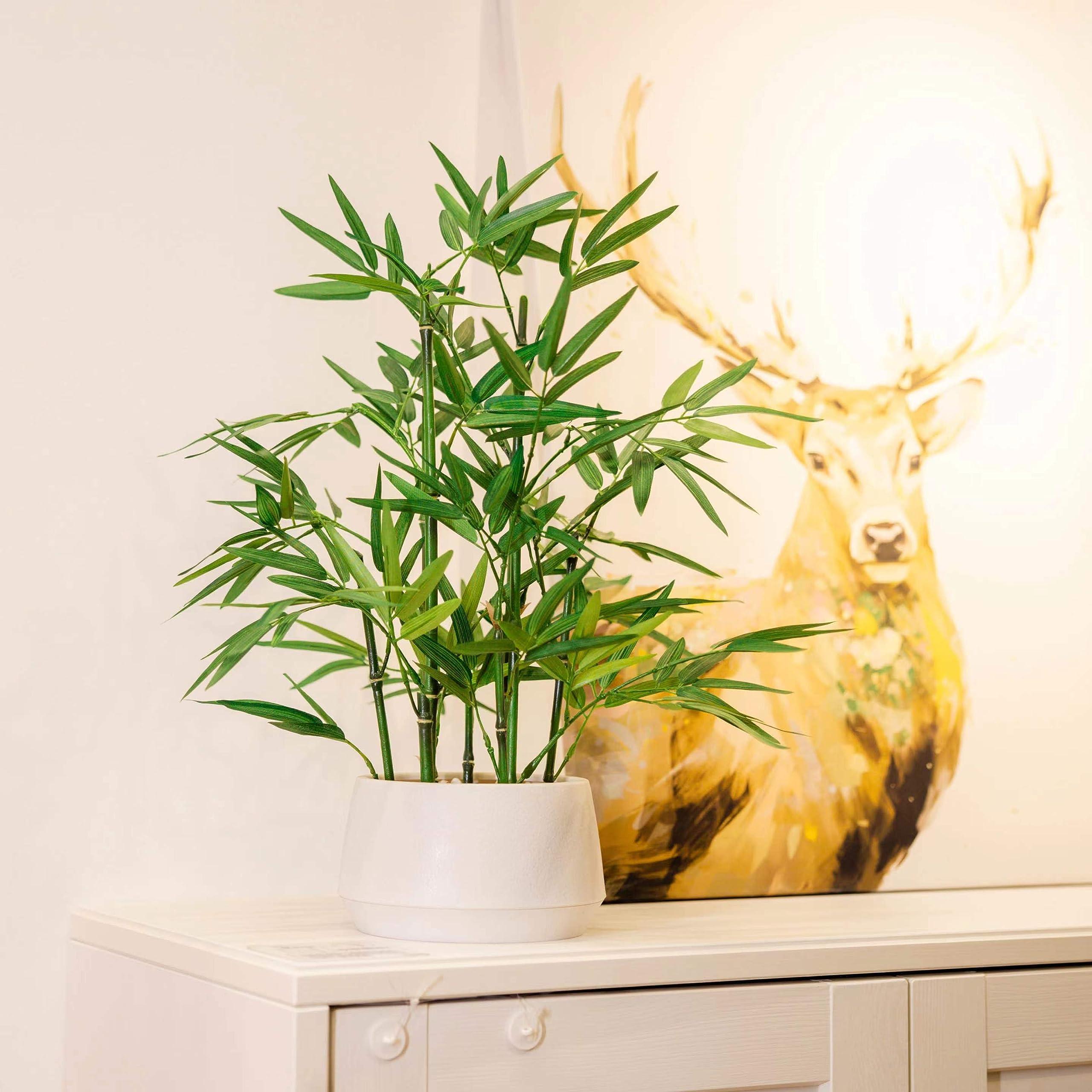365 Blooming Decor 18 Inch Tall White Potted Faux Bamboo Plant - Luxury Artificial Bamboo in White Pot for Home, Office, Kitchen, Counter Top, Indoor Decor, Money Tree, Lucky Tree - Image 5