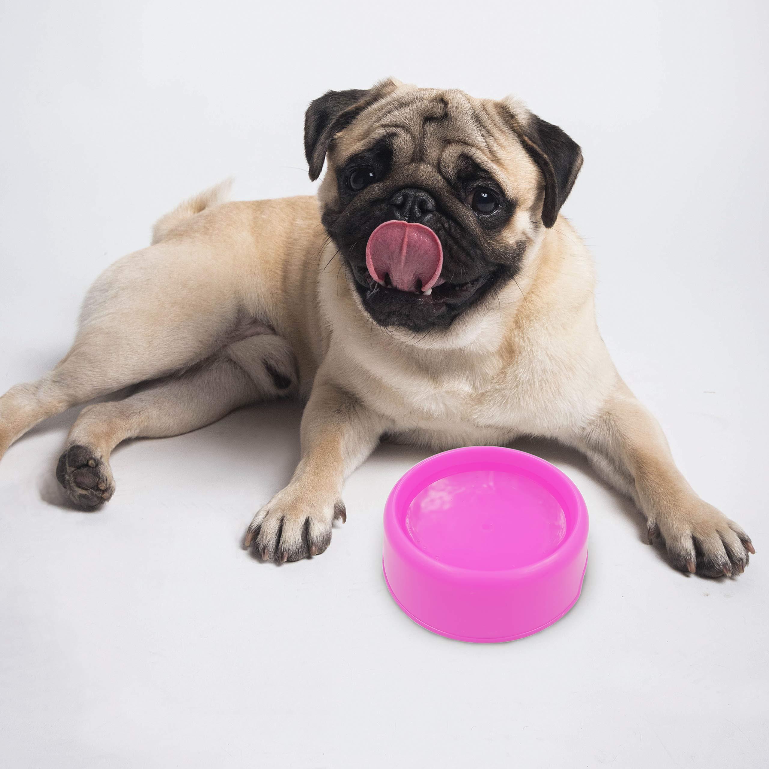 Purple 4-Pack Plastic Dog & Cat Bowls - Image 6