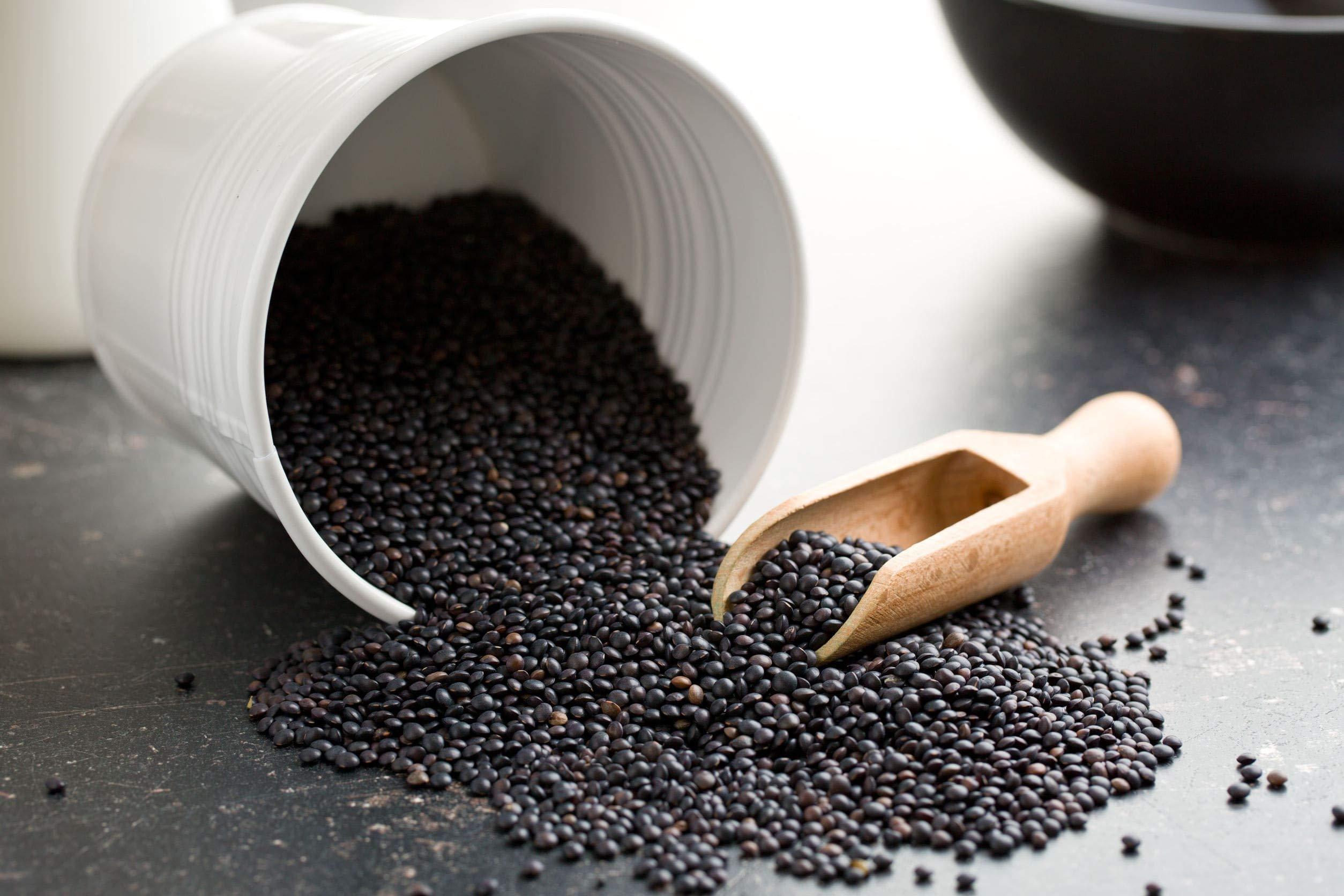 Food to Live Organic Black Lentils, 10 Pounds – Non-GMO, Whole Dry Pulses, Raw, Sproutable, Kosher, Vegan, Bulk Legumes, Black Masoor Daal. Rich in Thiamin, Folate, Protein. Great for Tacos, Soups - Image 4