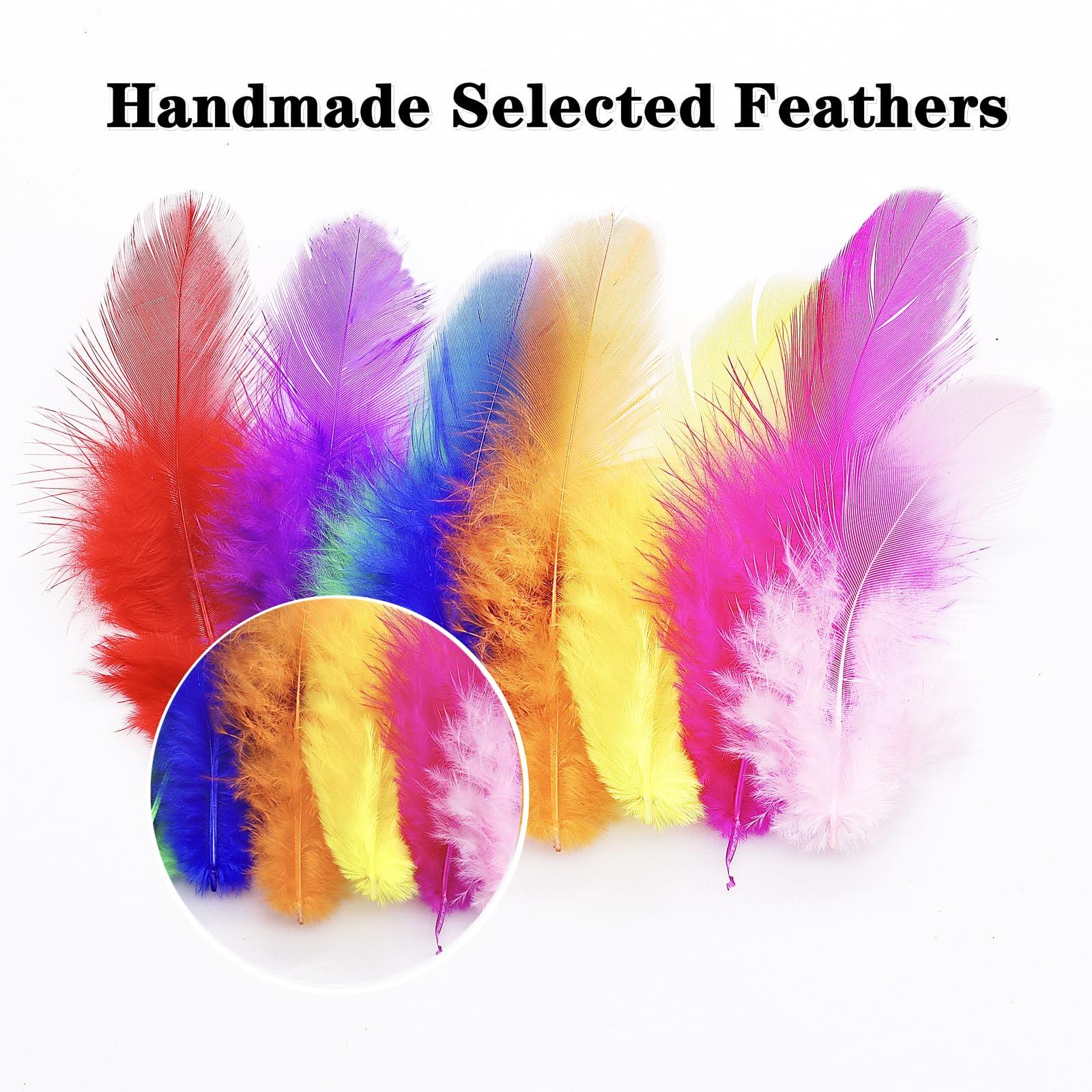 800Pcs Colorful Craft Rooster Feathers 3-5-inch Bulk Feathers for Crafting Kindergarten DIY Crafts, Wedding, Family Party Decorations, Dream Catcher Supplies, Natural Feathers - Image 4