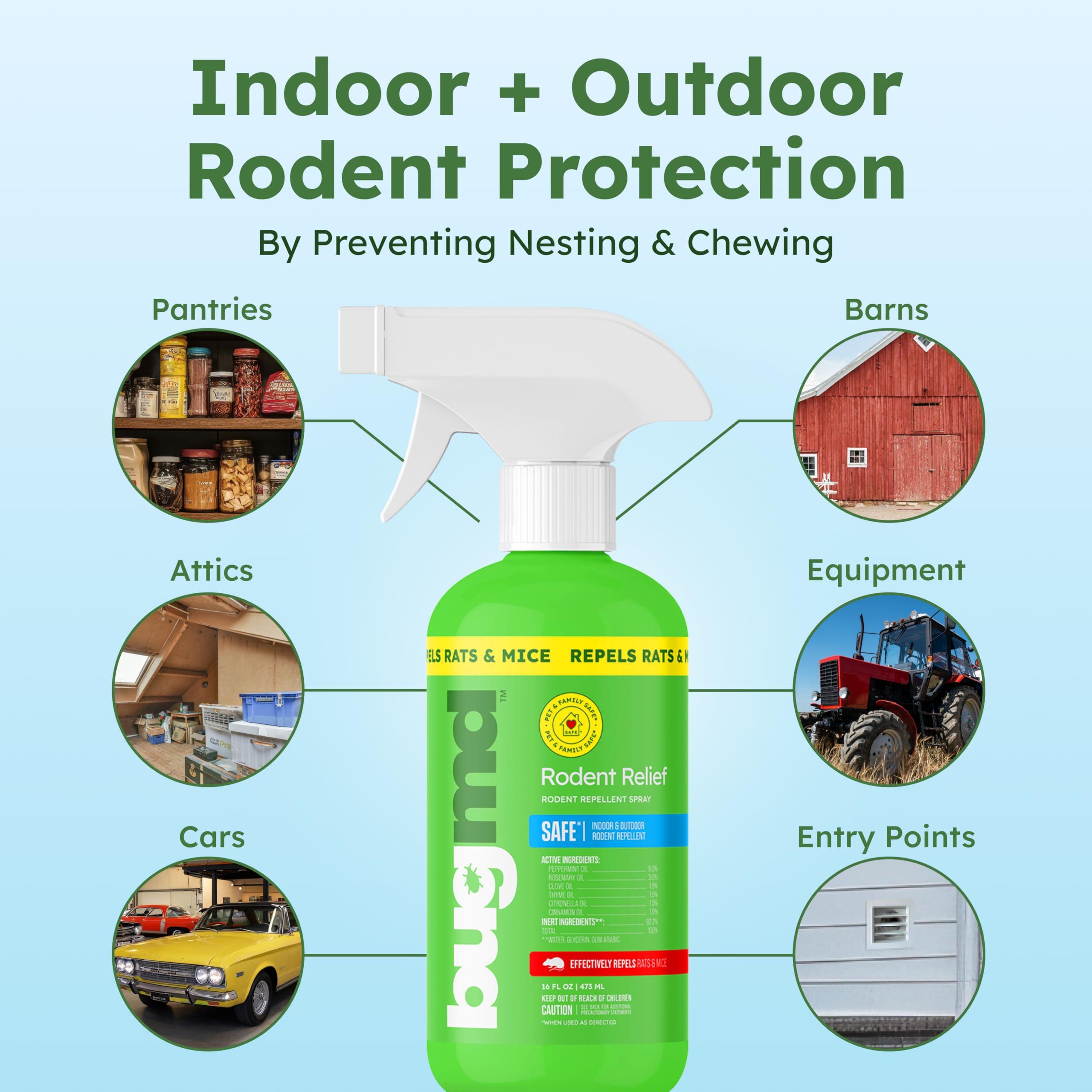 BugMD Peppermint Oil Spray for Rodents - 16oz Mouse Repellent & Rodent Repellent Spray, Natural Mice Repellent with Cinnamon, Clove, and Rosemary Oils - Safe Indoor & Outdoor Use - Image 3