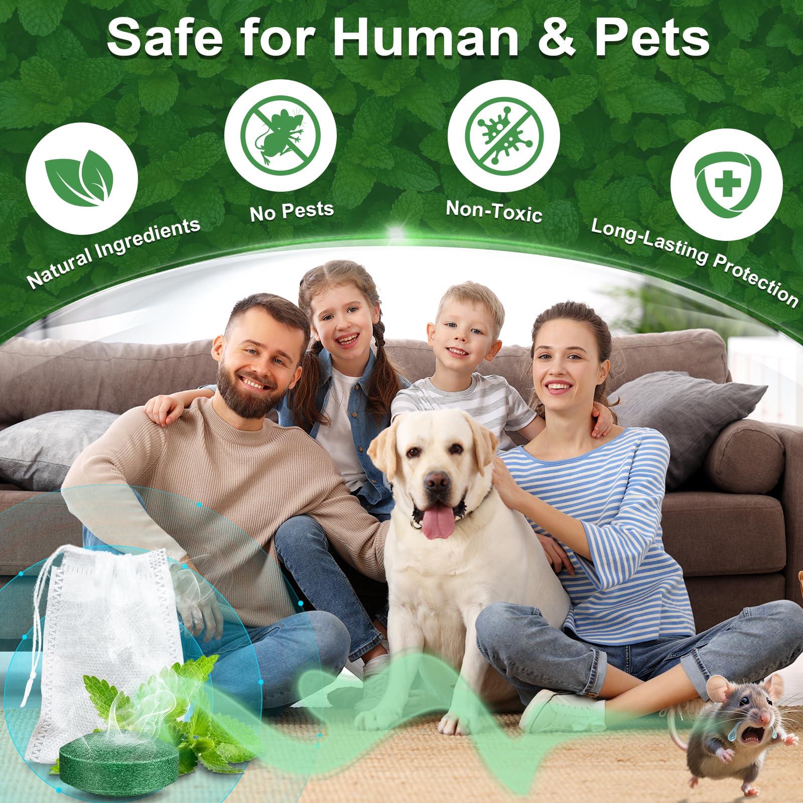 BOZFLY Mouse Rodent Repellent, 32 Pack Peppermint Oil Mice Repellent for Rats, Mice, Squirrels, Spiders and Pests, Indoor & Outdoor Natural Mouse Deterrent, Keeps Rodents Away from Garden & Home - Image 4