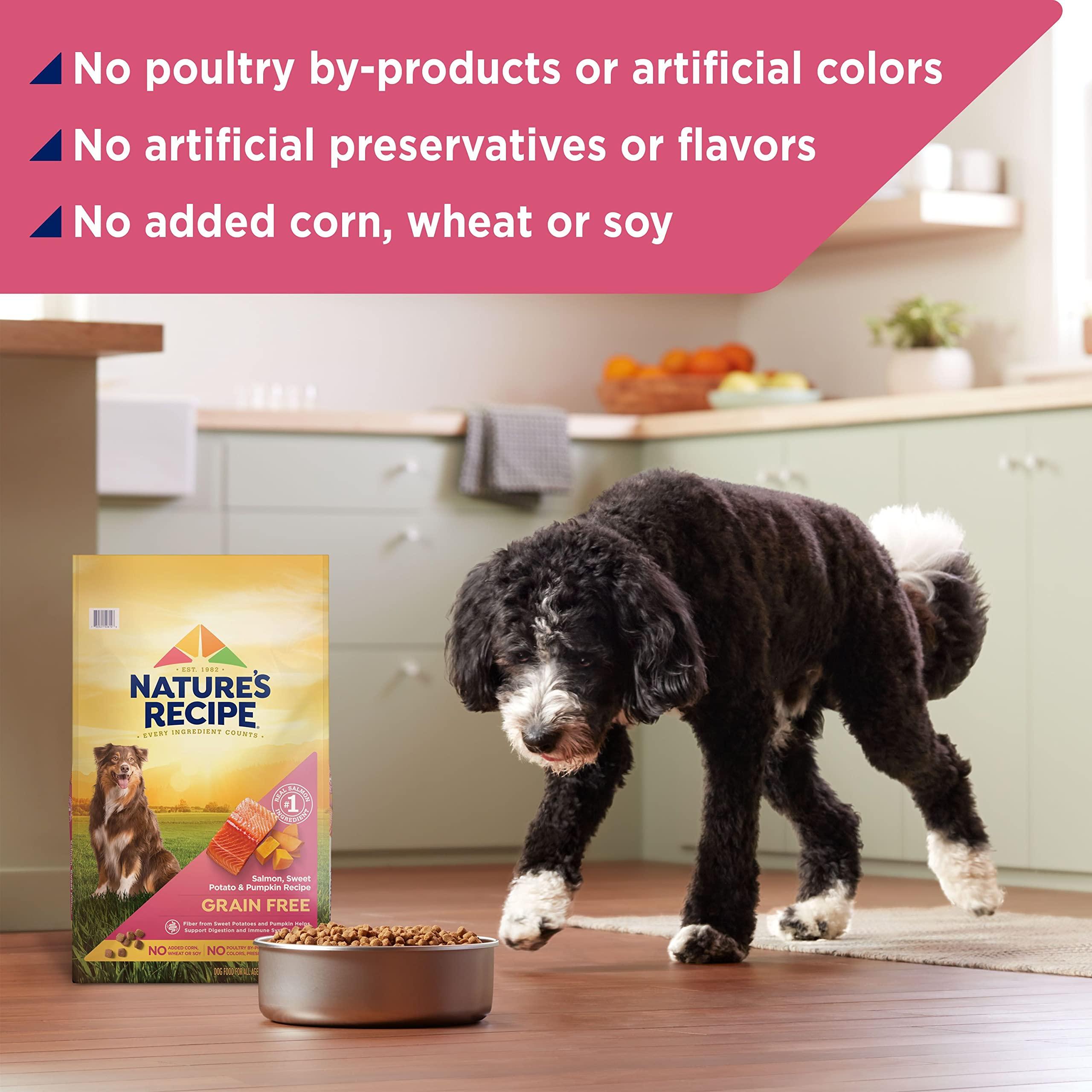 Nature’s Recipe Grain Free Salmon, Sweet Potato & Pumpkin Recipe Dry Dog Food, 24 lb. Bag - Image 6