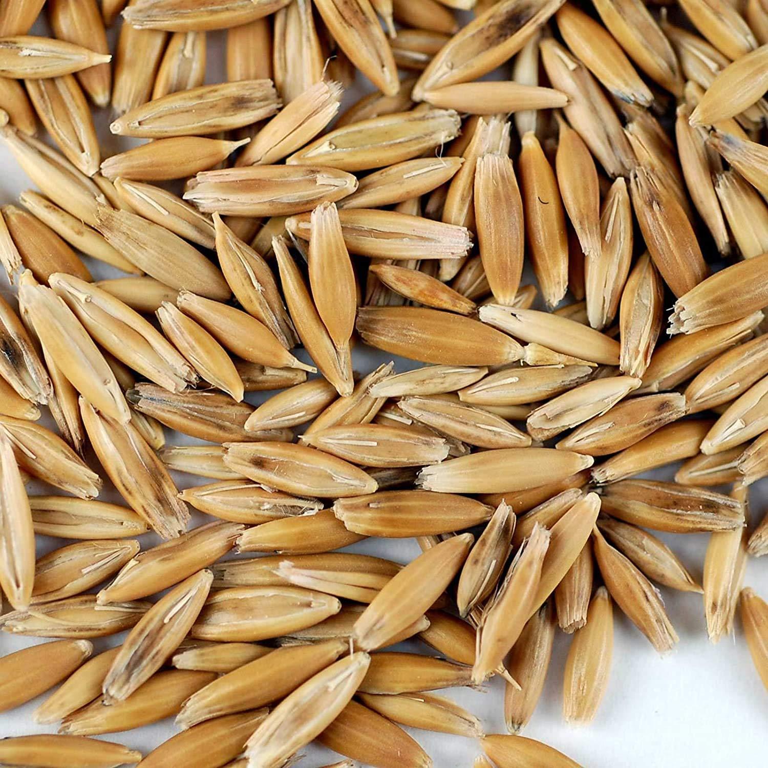 25 Lb Bulk Non-GMO Organic Whole Oat Groats (w/Husk) - Gluten Free Organic Oats - Whole Oats Organic for Sprouts, Steel Cut Oats Organic, Oat Berries, Oat Flour Organic, Oat Rice, and Livestock Feed - Image 2