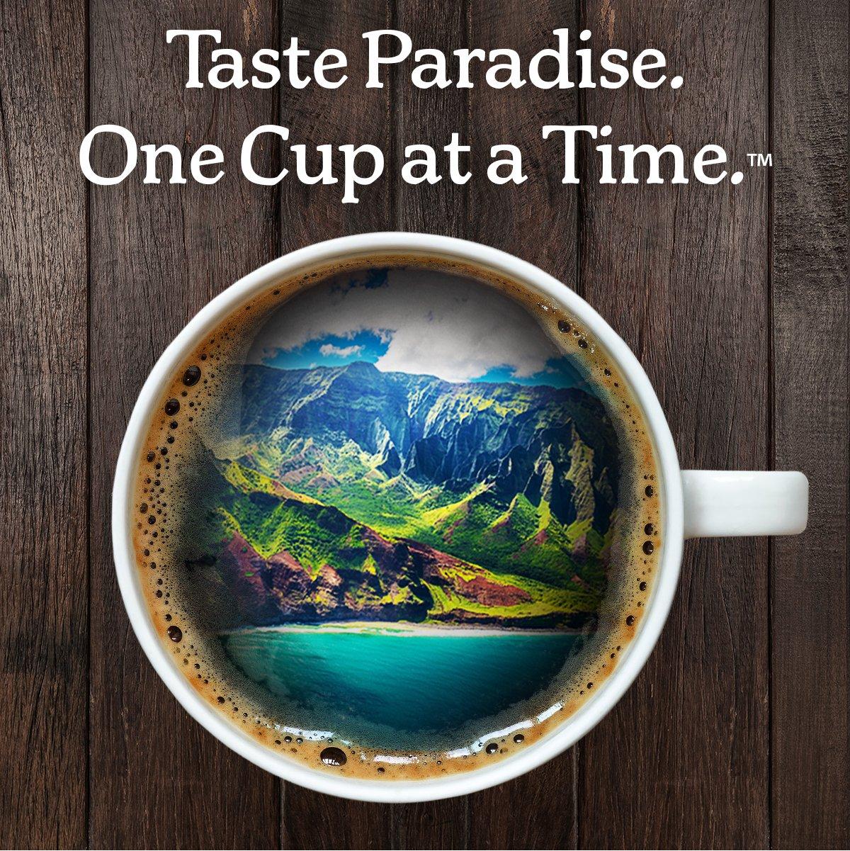 Kauai Hawaiian Ground Coffee, Vanilla Macadamia Nut Flavor - Gourmet Arabica Coffee From Hawaii's Largest Grower, Smooth, Delicious Flavor and Amazing Aroma - 10 Ounce - Image 5