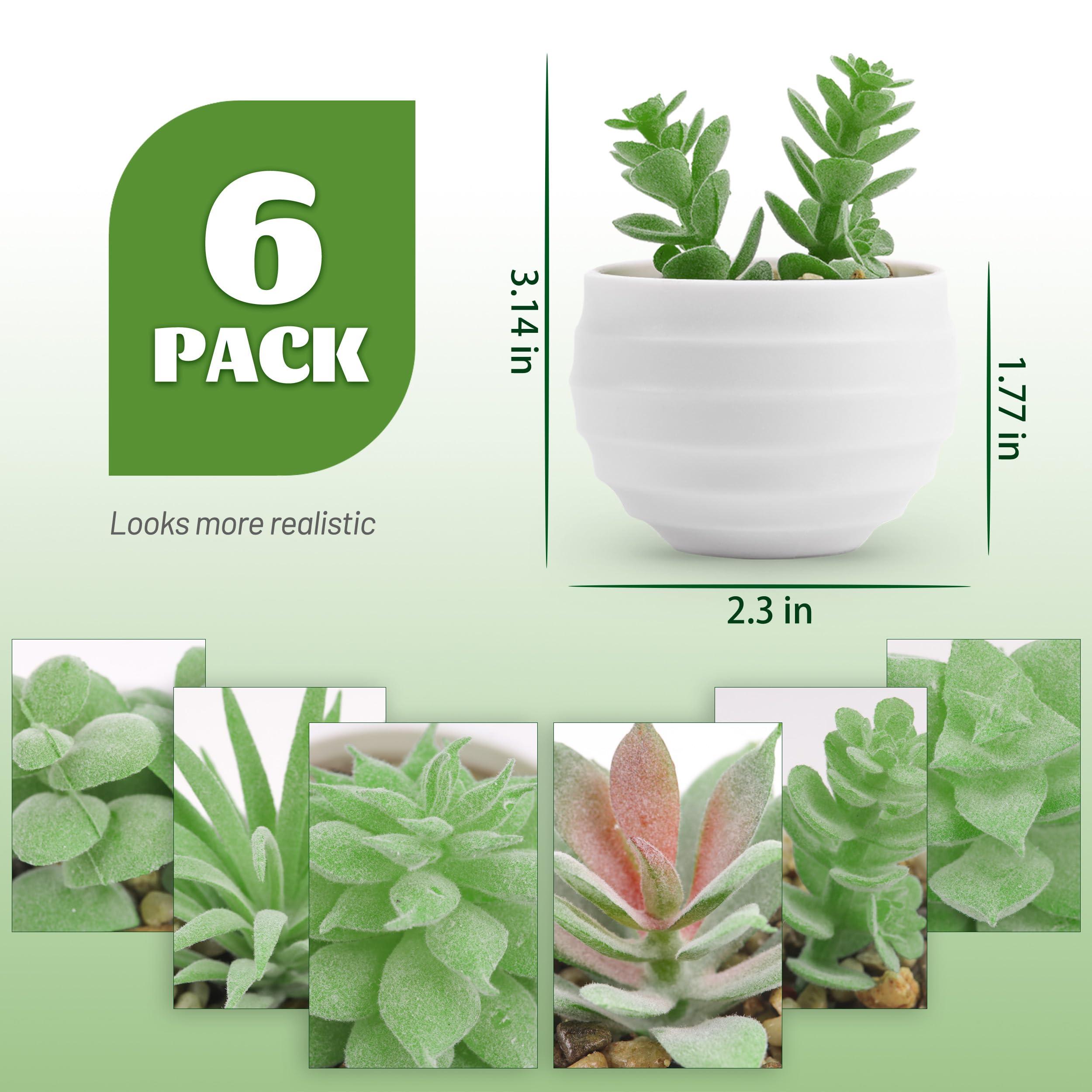 Der Rose Set of 6 Succulents Plants Artificial in Pots Small Fake Plants for Bedroom Aesthetic Living Room Office Shelf Bathroom Decor - Image 3