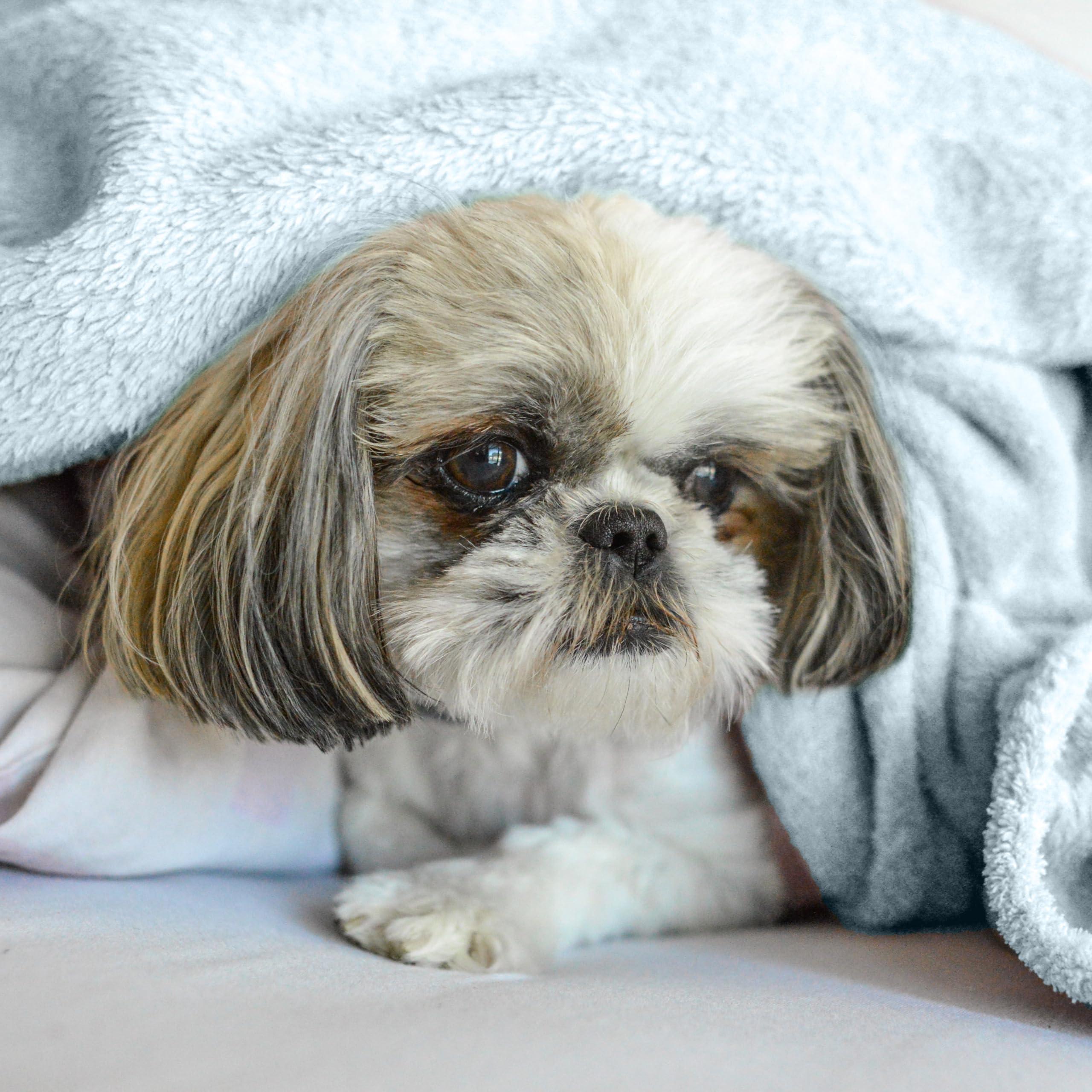 Pet Blanket - Lightweight Breathable Warm Cozy Soft Throw Blanket - Ice Water Blue - 30x40 Inches - Image 8
