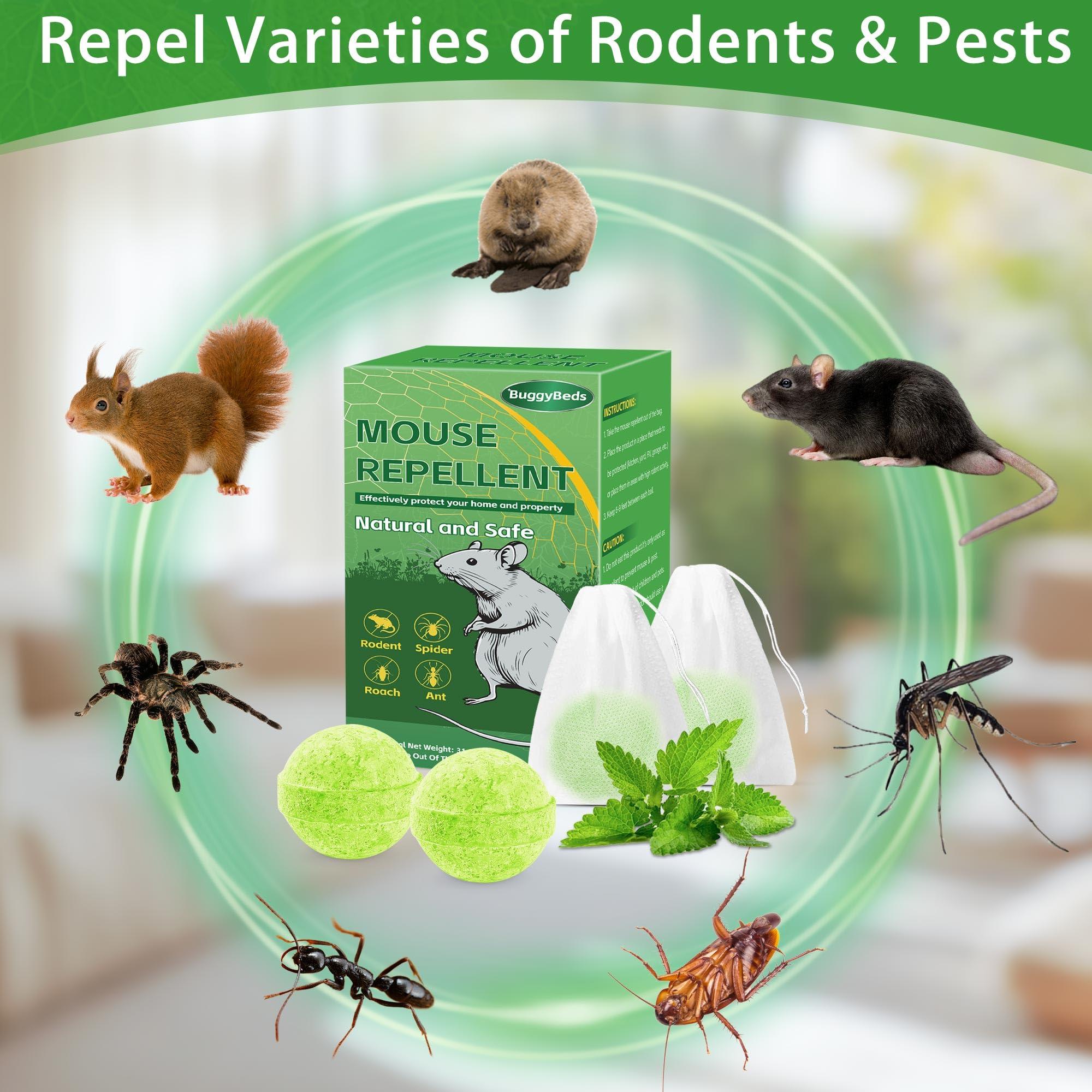 Rodent Mouse Repellent, 36 PCS Natural Rat Mice Repellant Indoor, Peppermint Oil to Repel Mice Rats Away Squirrel Pest Repellent Balls Rodent Deterrent for House Outdoor, Family & Pet Safe - Image 3