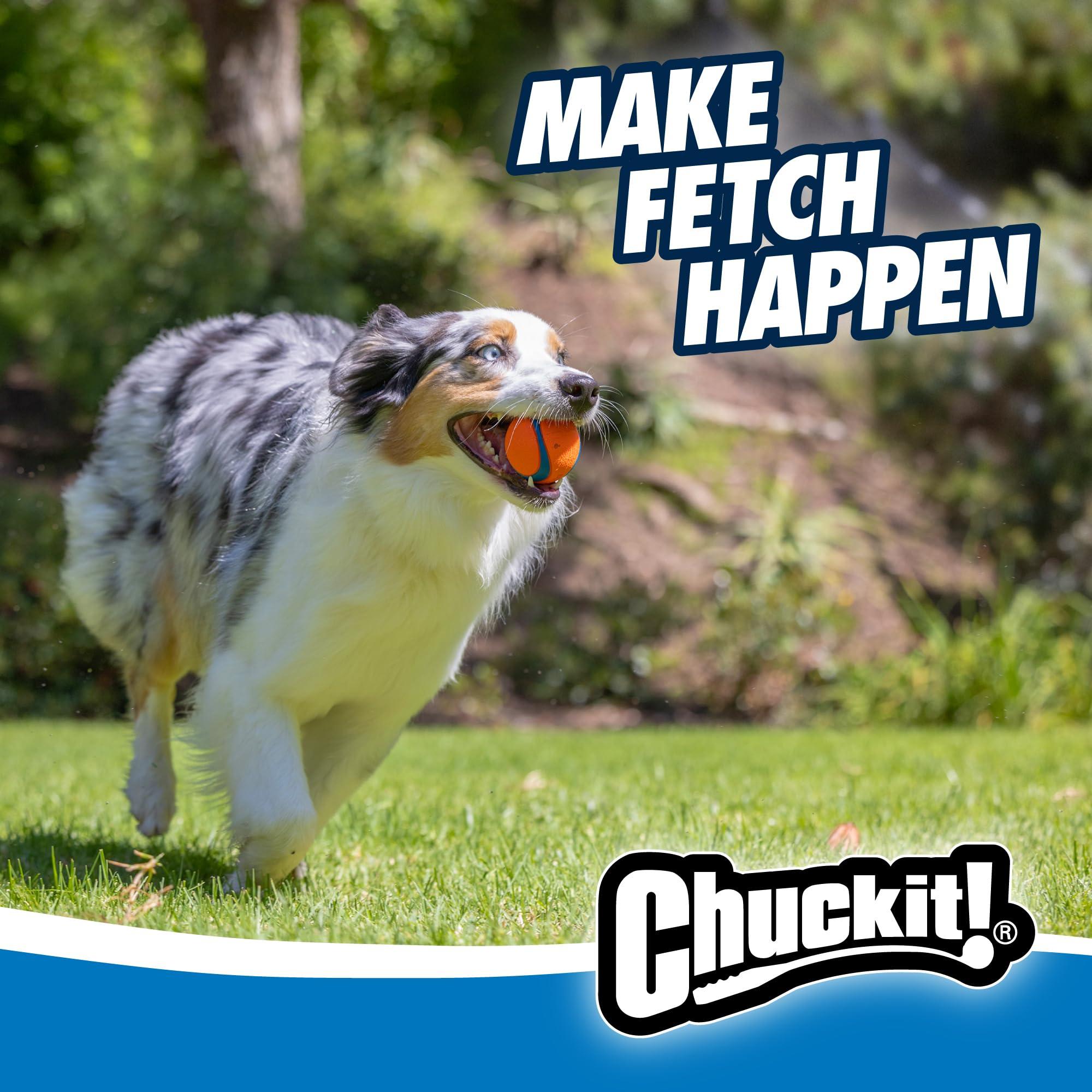 Chuckit Gen 1 Fetch Pack Dog Balls - Interactive Dog Toys, High-Bounce Fetch Ball, Floating Ultra and Rugged Balls, Durable - Size Medium, 2.5-inch Diameter, Set of 3 - Image 5