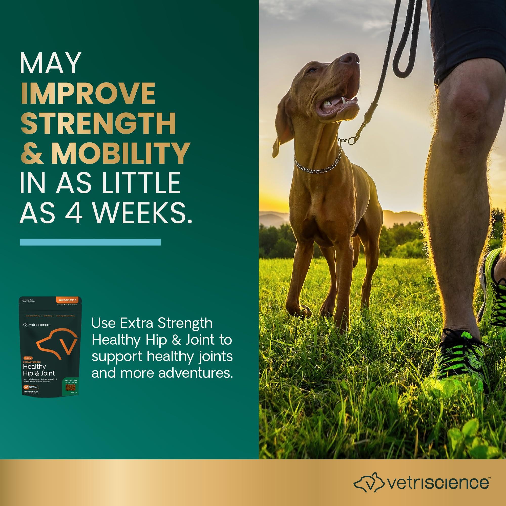 VetriScience Extra Strength Healthy Hip & Joint Chews, GlycoFlex Glucosamine and Green-Lipped Mussel Joint Support Supplement for Dogs, Promote Mobility and Soothe Joint Discomfort, Chicken, 120 Count - Image 3