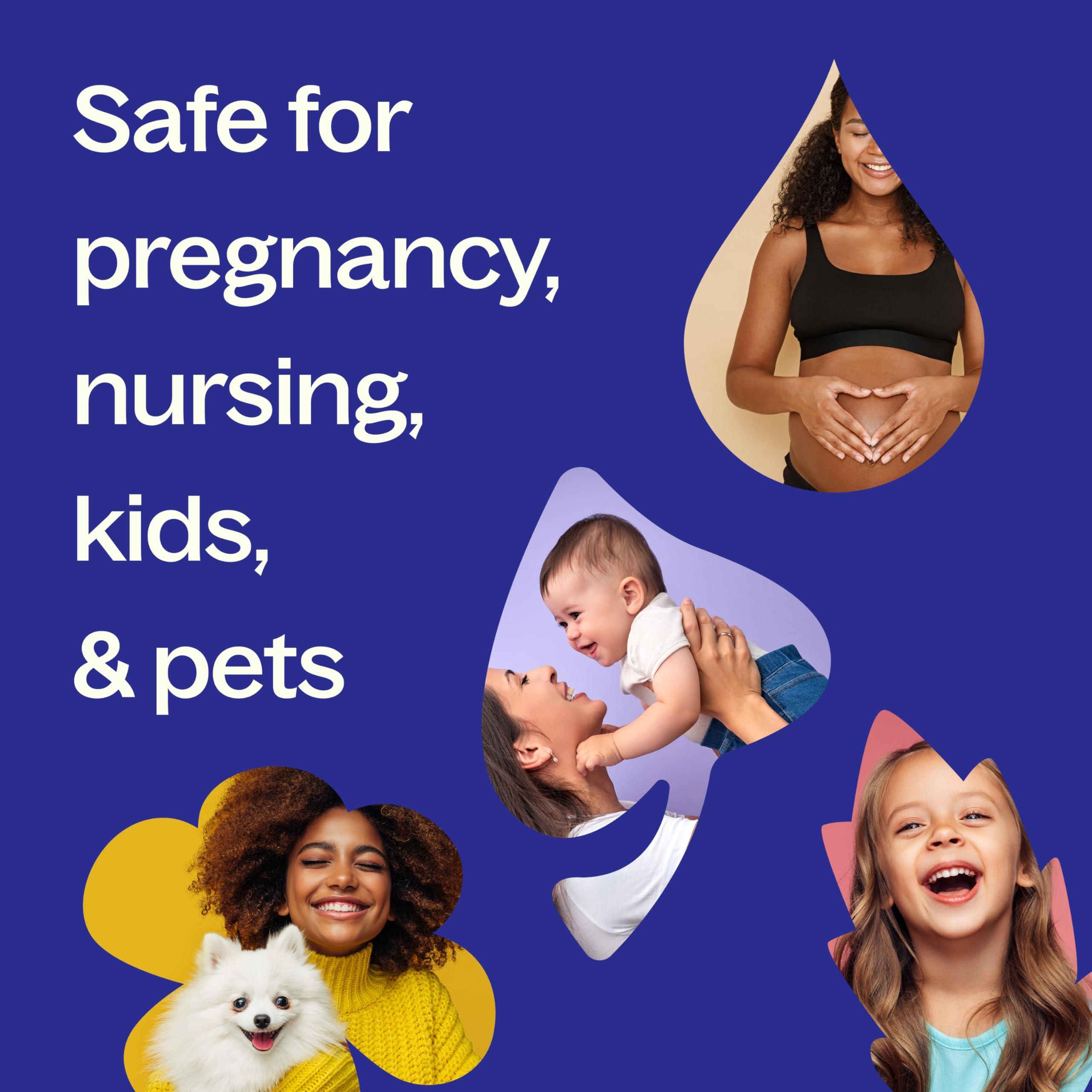 Plant Therapy KidSafe Calming The Child Essential Oil Blend 10 mL (1/3 oz) Relaxation and Soothing Blend, Tangerine, Lavender, & Roman Chamomile Essential Oils, Pure, KidSafe Pre-Diluted Roll-On - Image 5