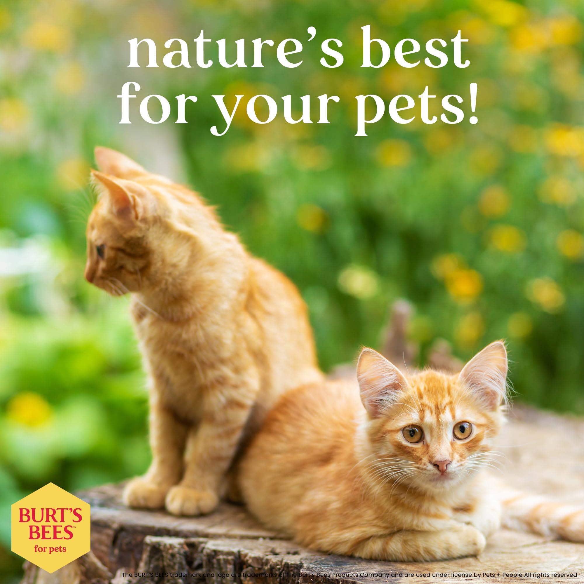 Burt's Bees for Pets Hypoallergenic Shampoo for Cats with Shea Butter and Honey, 99.7% Natural Origin Formulas, Pet Shampoo for Cats, Gentle Cat Shampoo, Cat Shampoo for Itchy Skin, 10 oz - Image 7