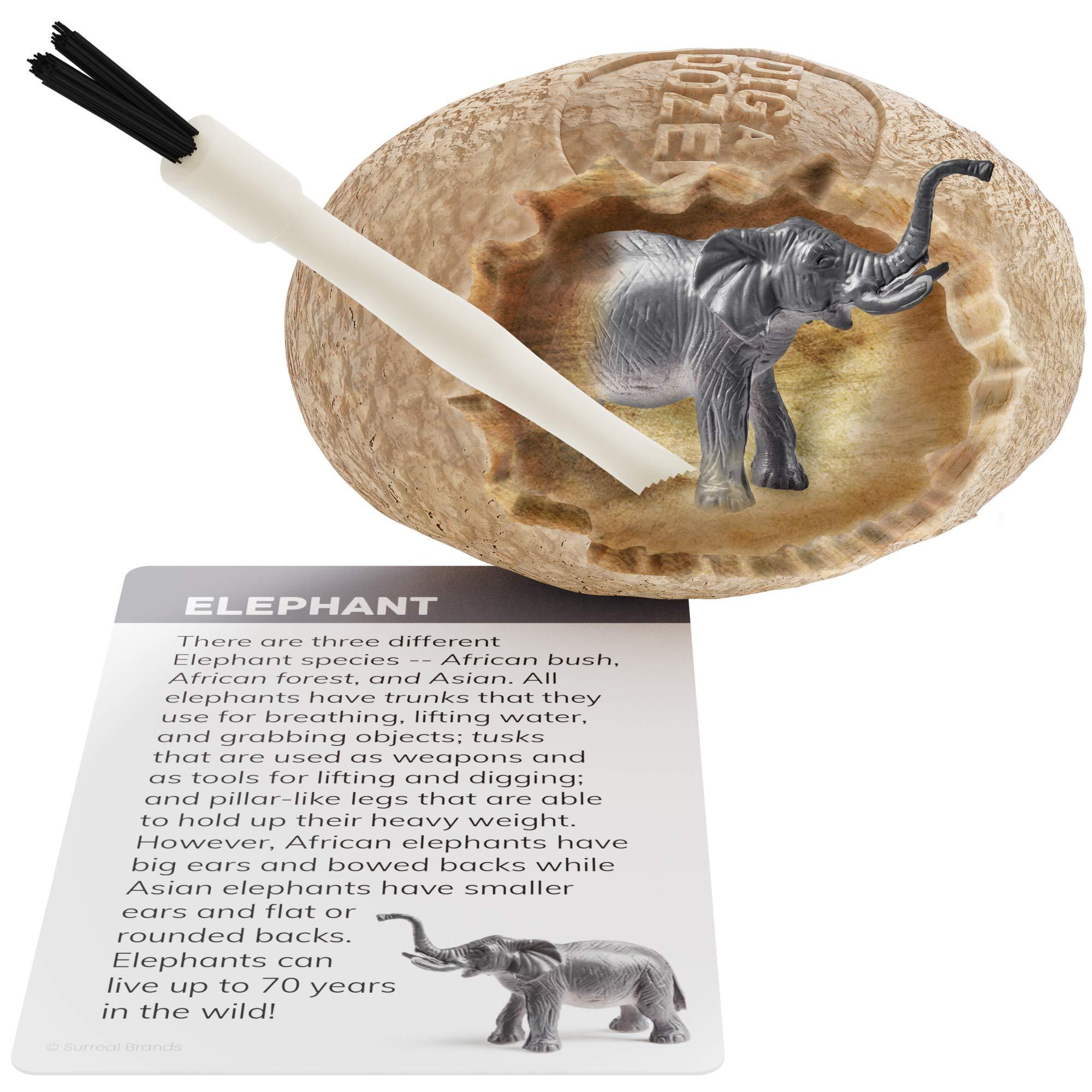 Dig a Dozen Egg Kit - Break Open 12 Eggs and Discover 12 Unique Cute Wild Safari Animals, with Learning Cards - Easter Archaeology Science STEM Gift for Kids - Image 2
