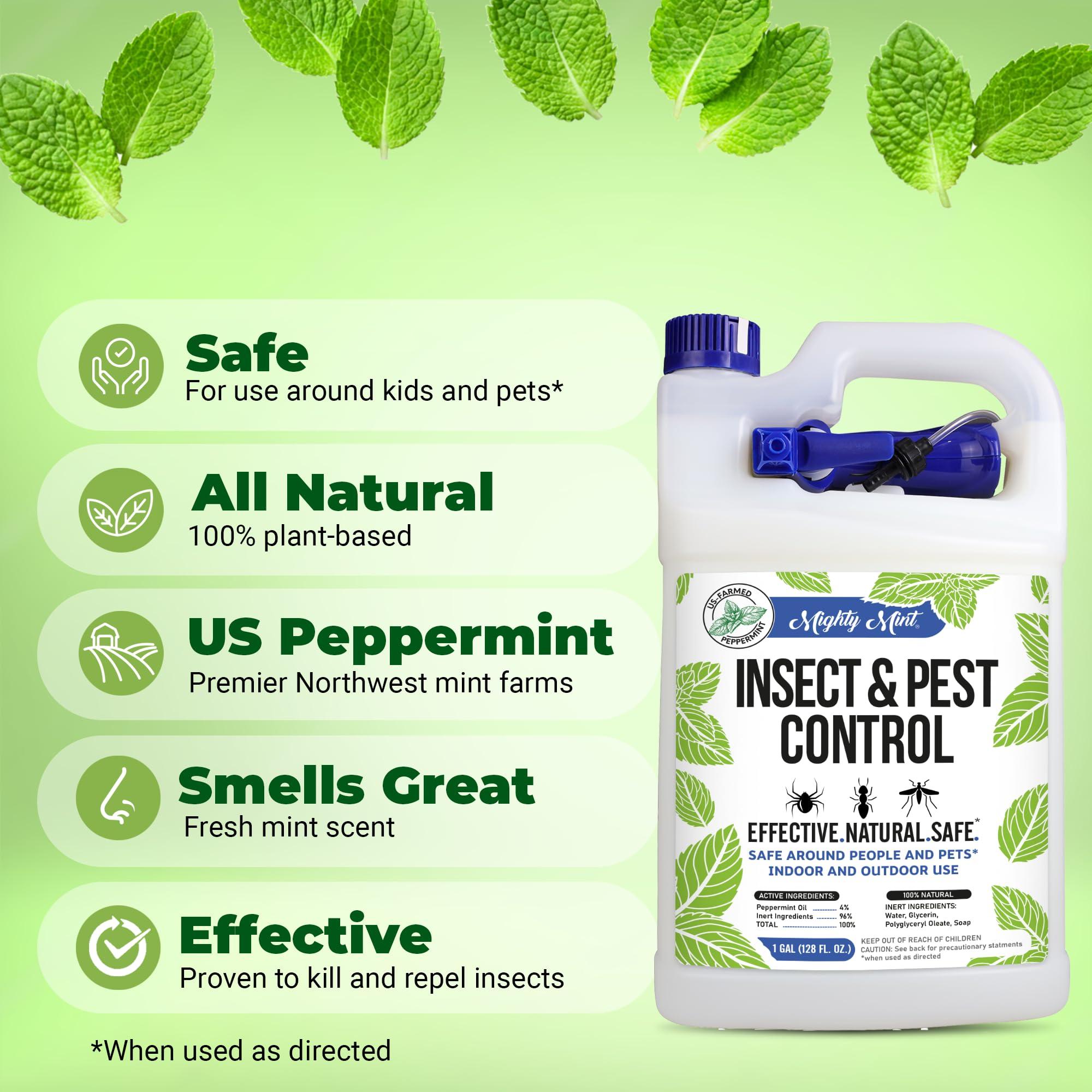 Mighty Mint Gallon (128 oz) Insect and Pest Control Peppermint Oil - Natural Spray for Spiders, Ants, and More - Image 2