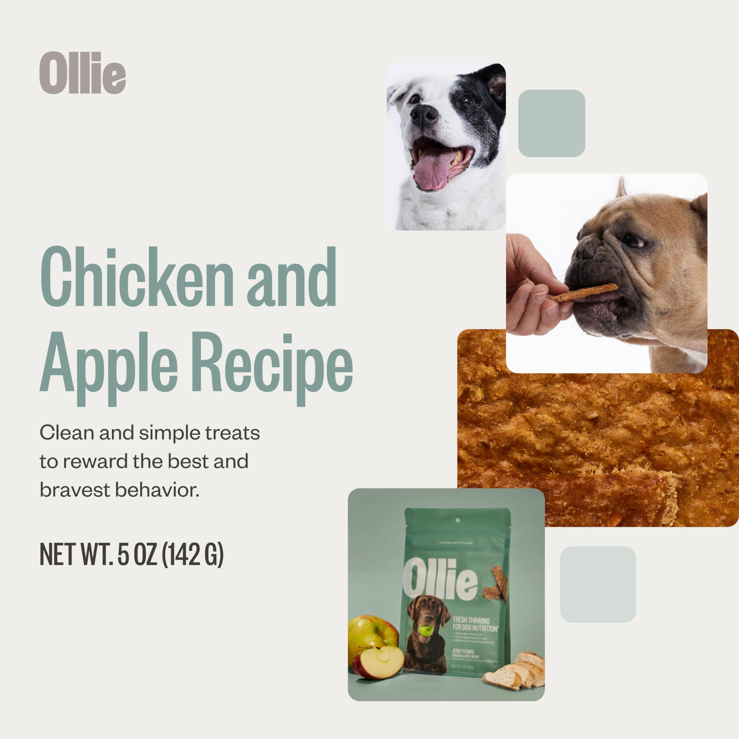 Ollie Chicken and Apple Jerky Dog Treats, 5 oz Pack of 1, All Natural, Healthy Snacks, Made with Real Meat, Human Grade, for Dogs - Image 3