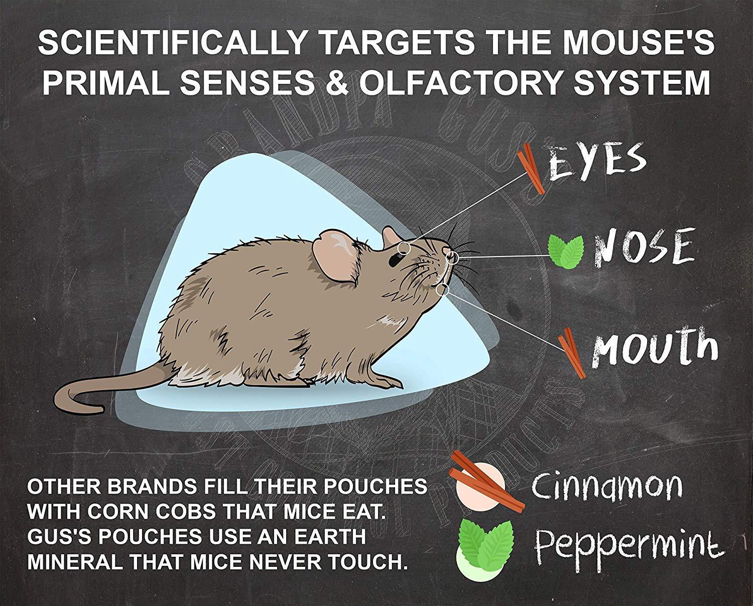 Grandpa Gus's Rodent Repellent Spray, Peppermint & Cinnamon Oil, Prevents Mouse/Rats from Nesting & Chewing on Wires, 16 fl oz (Pack of 1) - Image 7