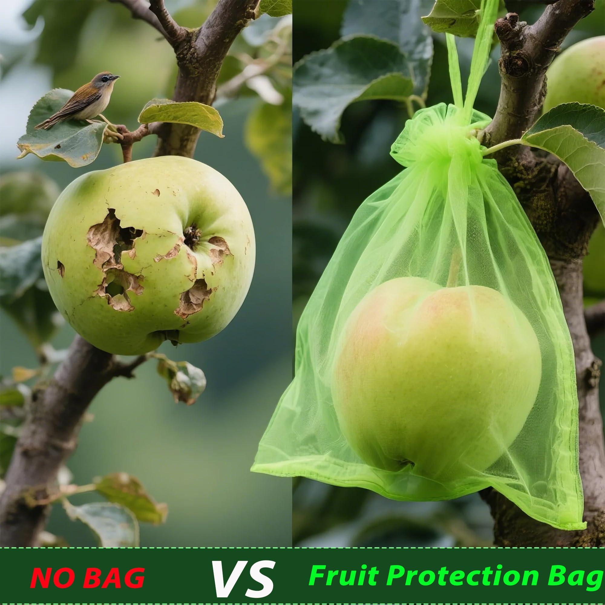 DMIMIA Fruit Protection Bags 100 pcs, Reusable Mesh Bags for Fruit Trees 3-Size, Breathable Covers to Protect Fruits from Pests & BirdsGreen - Image 3
