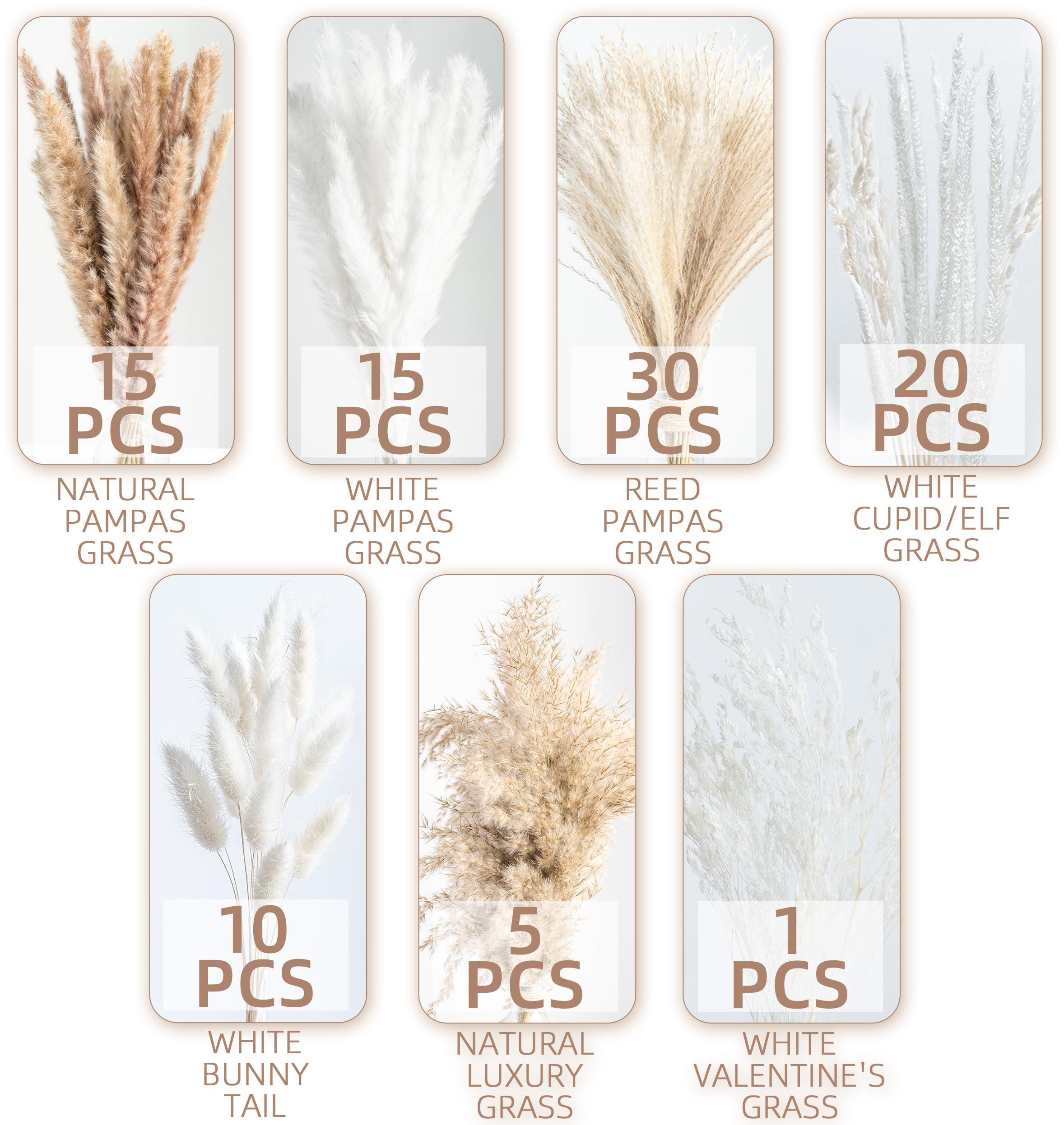 96PCS Natural Dried Pampas Grass Boho Home Decor Bouquet Phragmites Dried Flowers Bouquet for Wedding Floral Arrangements Home Decorations (96PCS) - Image 4