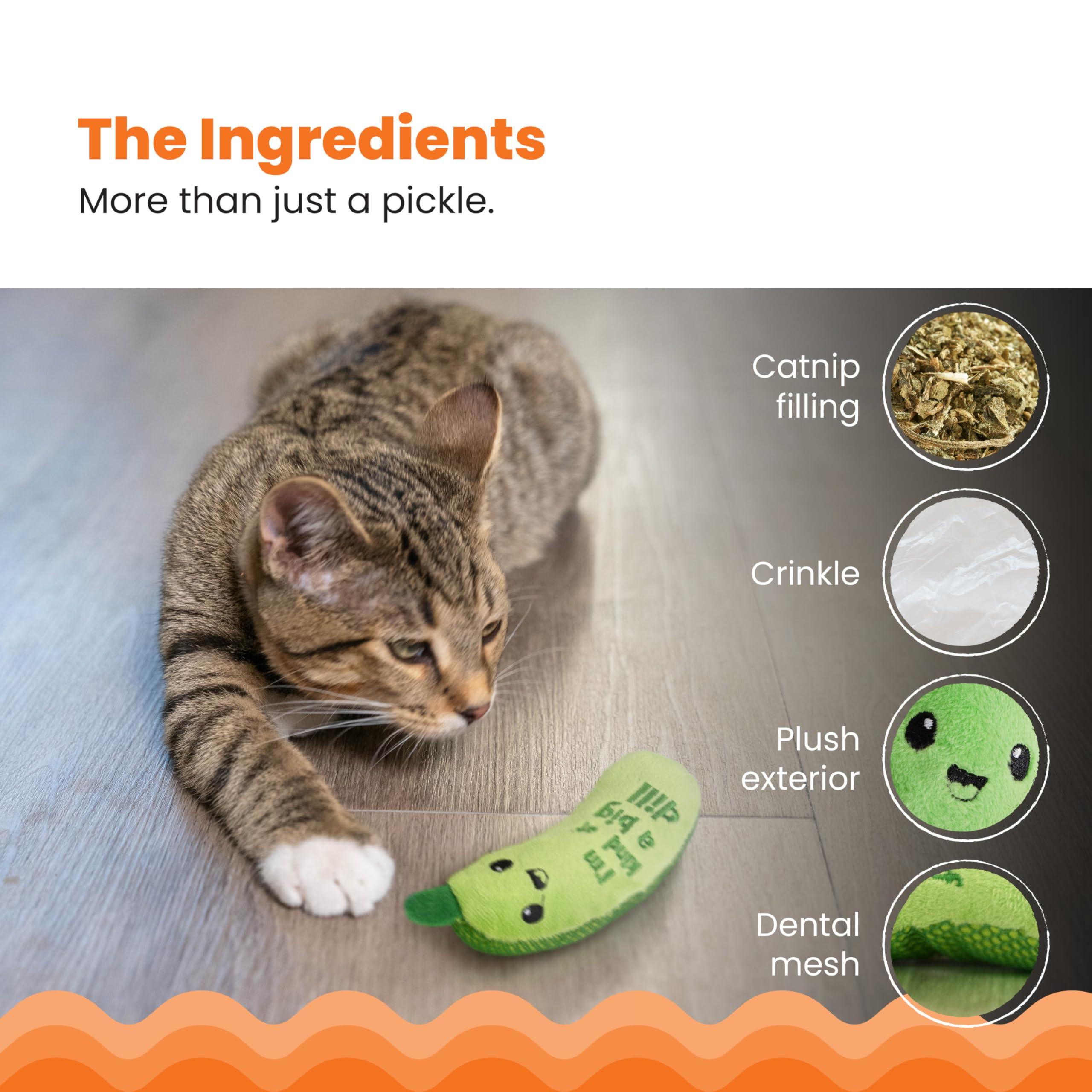 Catstages Crunchy Pickle Kicker Dental Catnip Cat Toy - Image 4