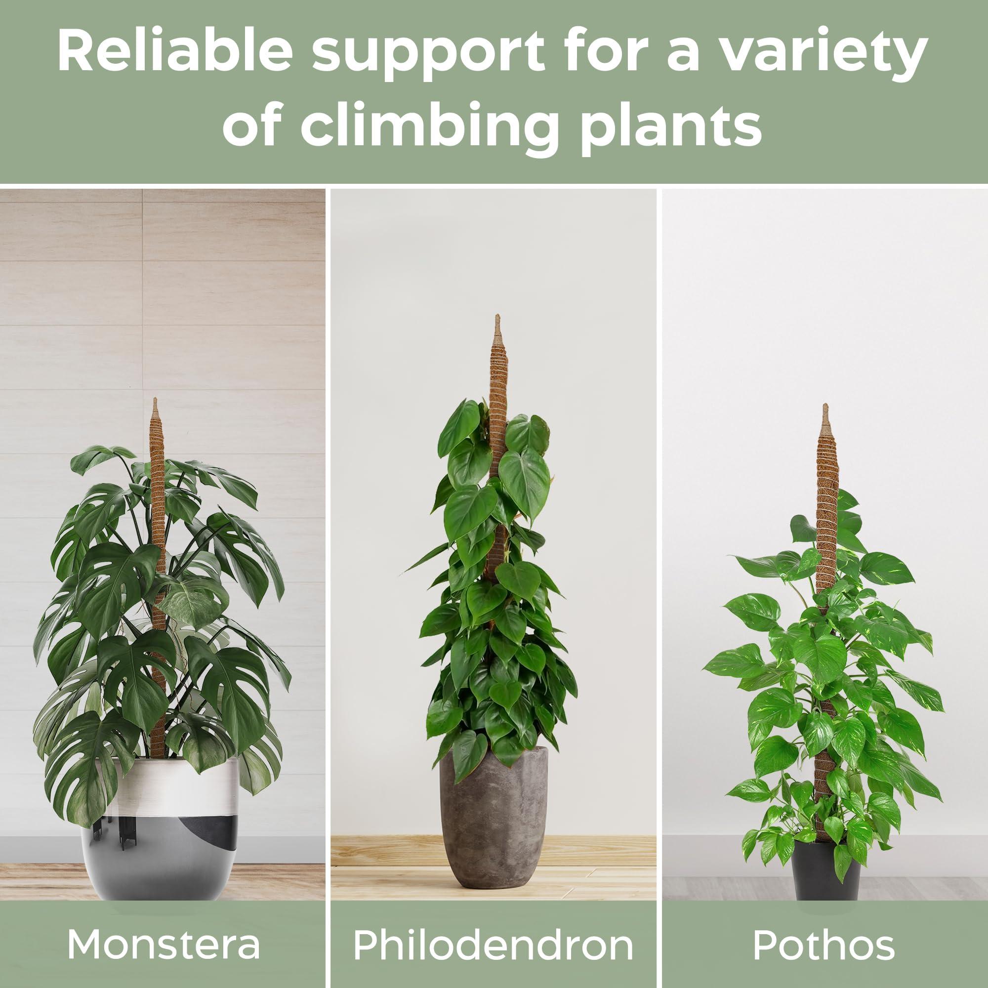 2 Pack 28'' Bendable Moss Pole Monstera Plant Support for Climbing Indoor Plants - Stakes for Potted Climbers - Tall Sticks Indoor Trellis for Houseplants - Accessories for Monstera Pot - Image 4