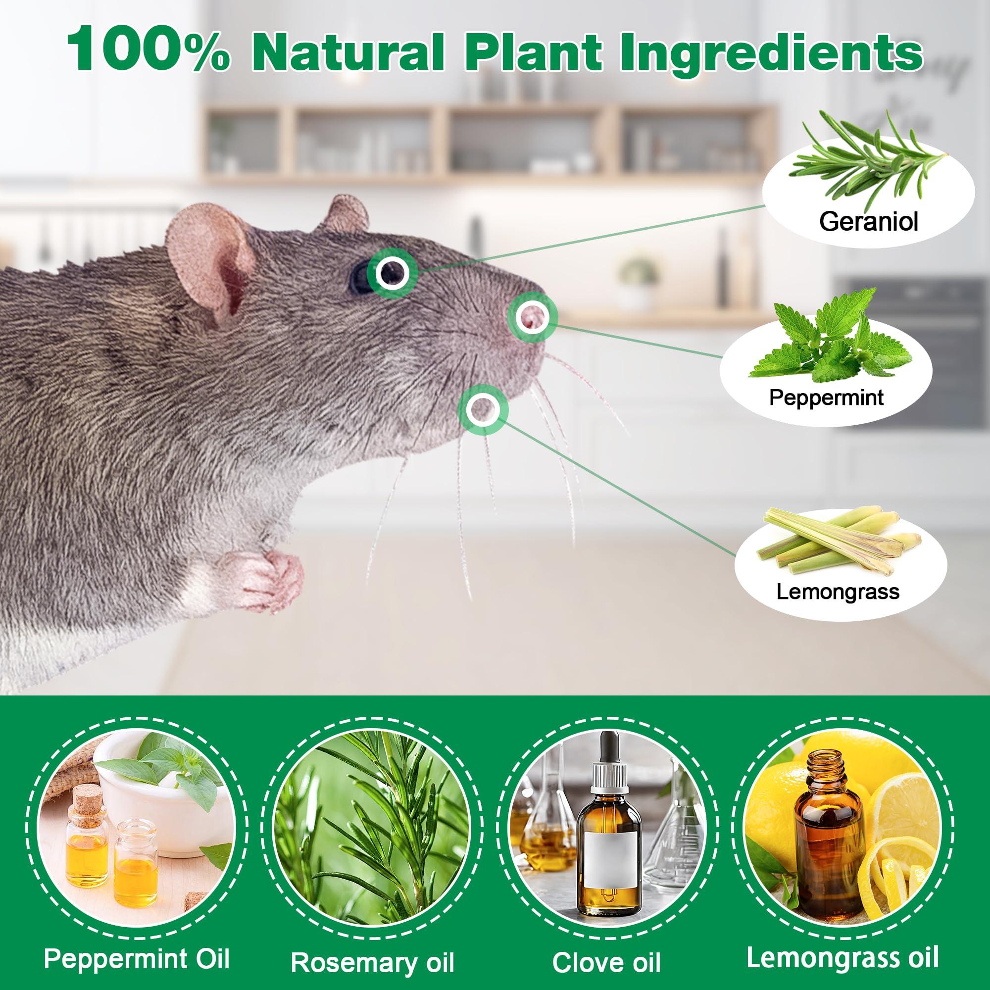 12Pack Natural Raccoon Repellent Pouches, Skunk Repellent Pouches for Outdoor Yard Garden House | Long-Lasting Protection | Safe for Dogs and Children - Image 3