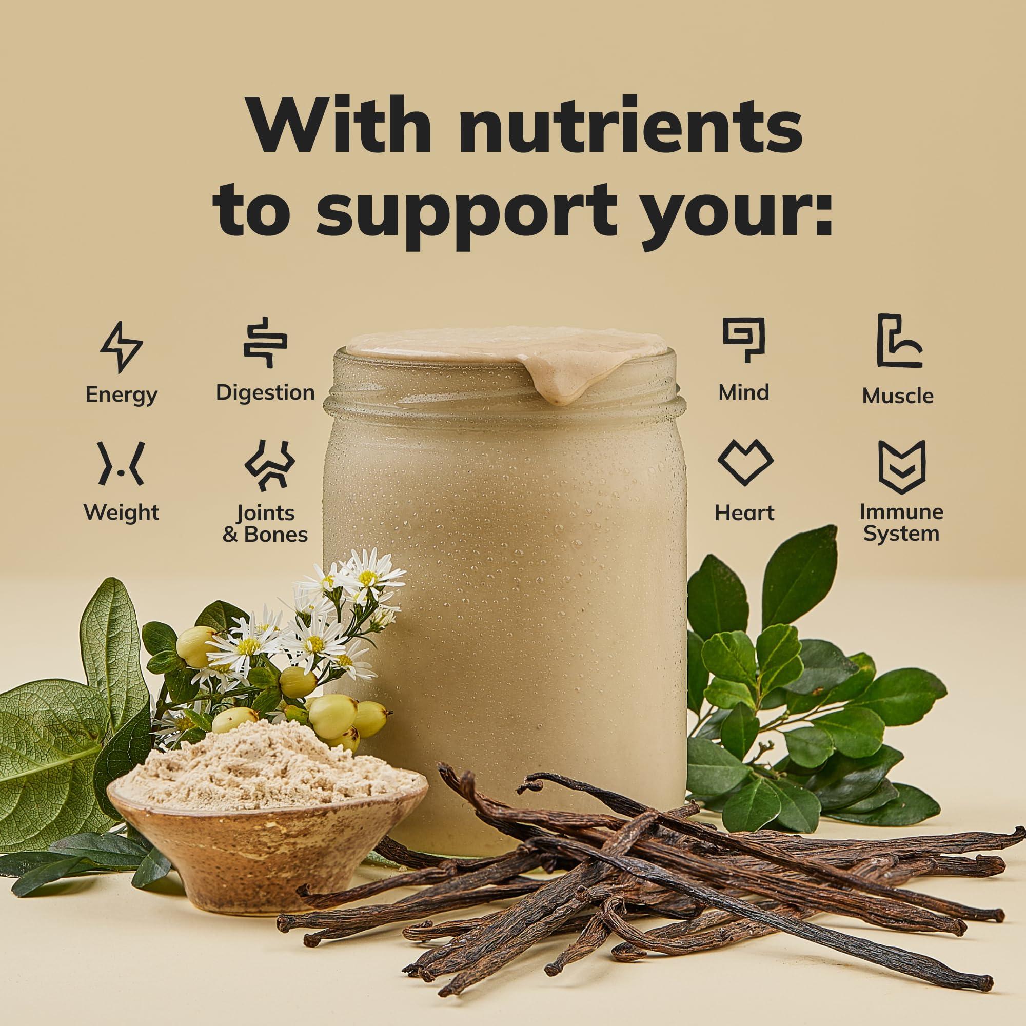 Ka’Chava All-In-One Nutrition Shake Blend, Vanilla, 15 Servings, 85+ Superfoods & Nutrients, Meal Replacement, Greens Plant-Based Superfood Powder Protein Drink, Digestive Enzymes & Probiotics, Vegan Dairy Gluten Free - Image 4