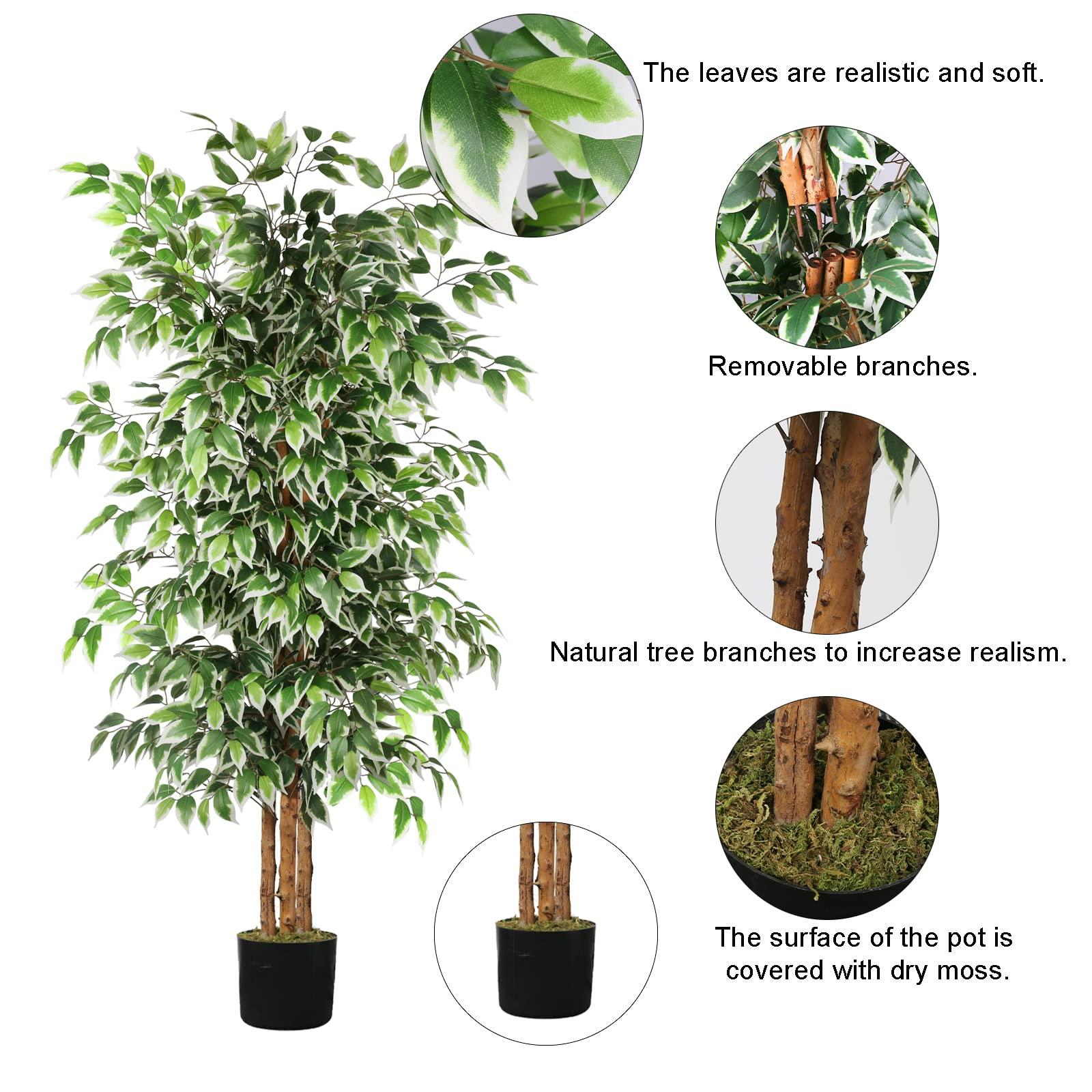 GTIDEA 6ft Artificial Tree Ficus, Tall Faux Trees Indoor with Natural Trunk and Fake Silk Tree Fake Plants for Home Spring Decor Living Room Outdoor Balcony House Office (Included Dried Moss) - Image 4