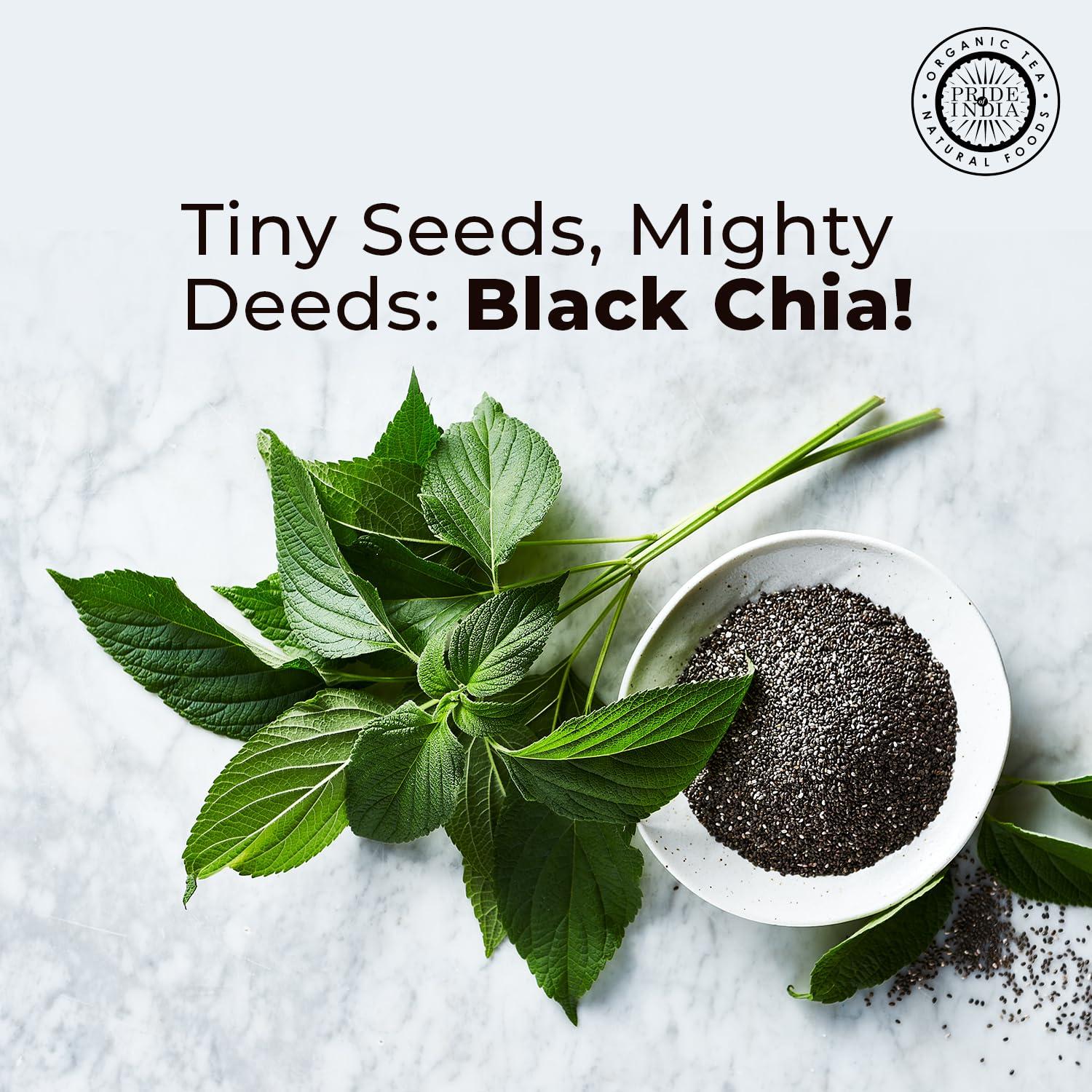 Pride Of India - Natural Black Chia Seeds - Omega-3 & Fiber Superfood, 1.25 Pound (20oz) Jar - Image 2