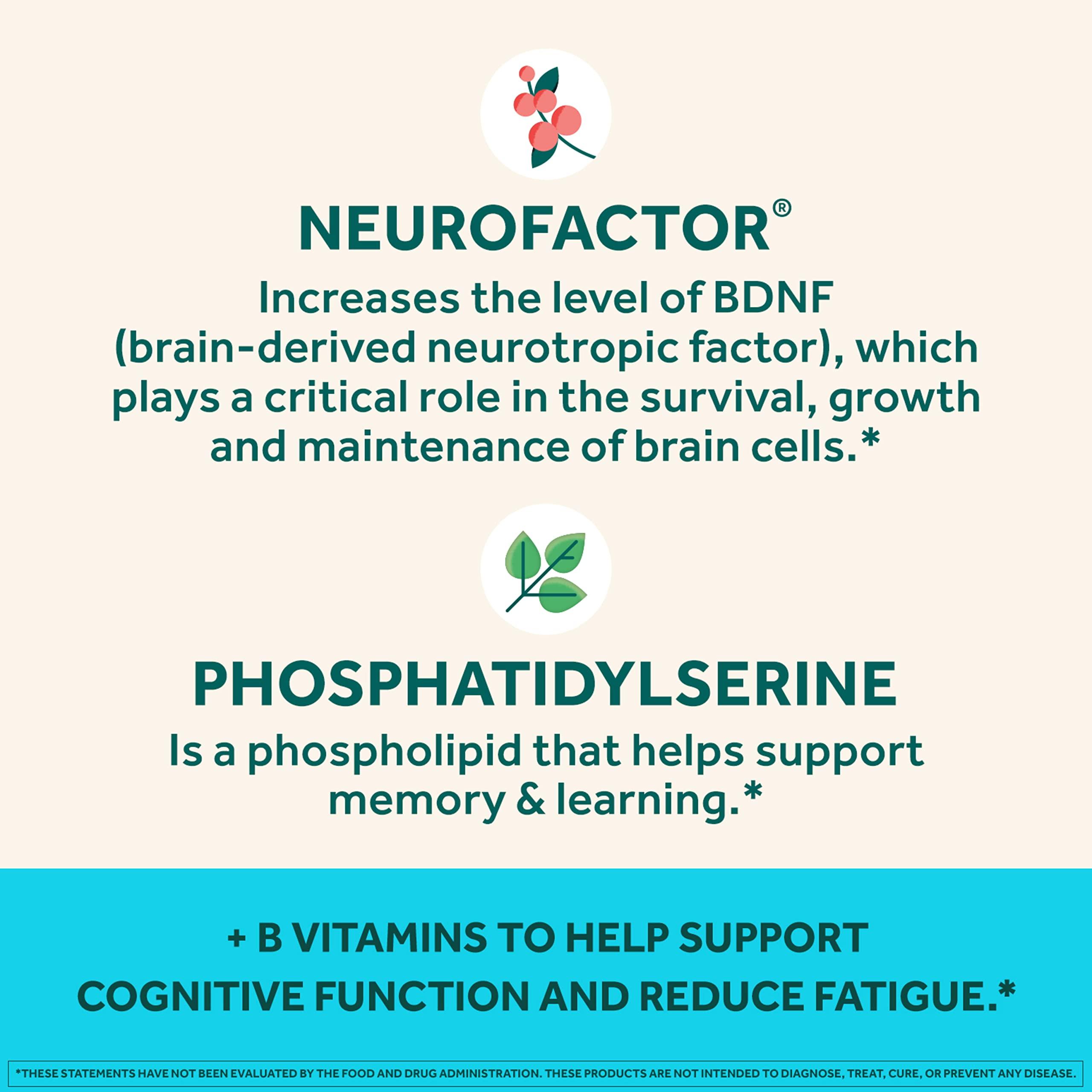 NEURIVA Plus Brain Supplement for Memory,Focus & Concentration+Cognitive Function with Vitamins B6 & B12 and Clinically Tested Nootropics Phosphatidylserine and Neurofactor,50ct Strawberry Gummies - Image 5