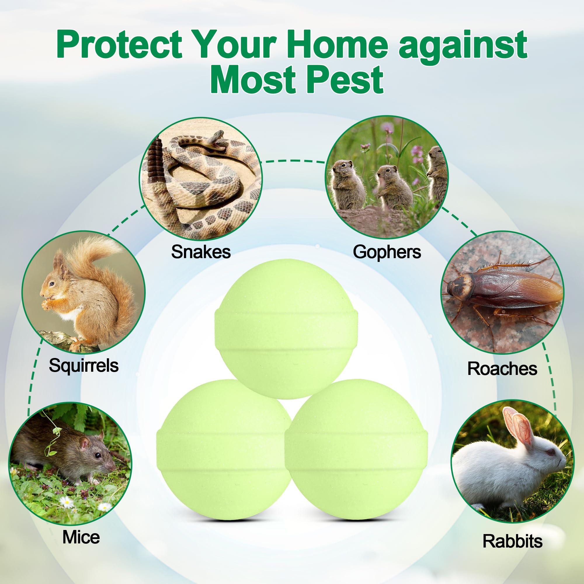 36 Pack Mice Repellent - Peppermint Oil Rat Repellent Ball for House Garage Garden Car Engine Indoor, Mouse Deterrent for Outdoor, Keep Mice Out Natural Pest Repellent Pet Safe - Image 4