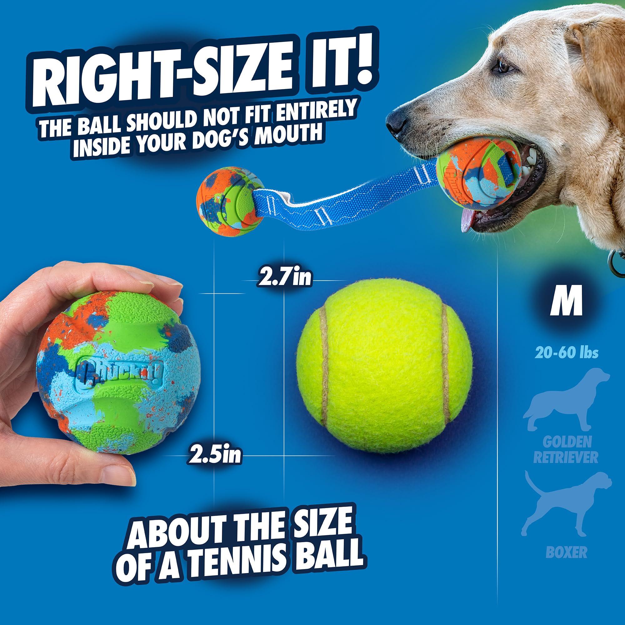 Chuckit! Limited Edition EcoFetch Ball Dog Toy, Medium (2.5 Inch Diameter) Pack of 3, for Breeds 20-60 lbs - Image 2