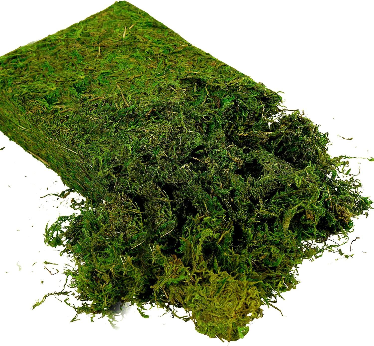 USMOLA Artificial Moss, 16OZ Fake Moss for Crafts, Decorative Centerpieces, Fairy Garden, Wedding Party Decor, Faux Potted Plants, 455gr (Fresh Green) - Image 3