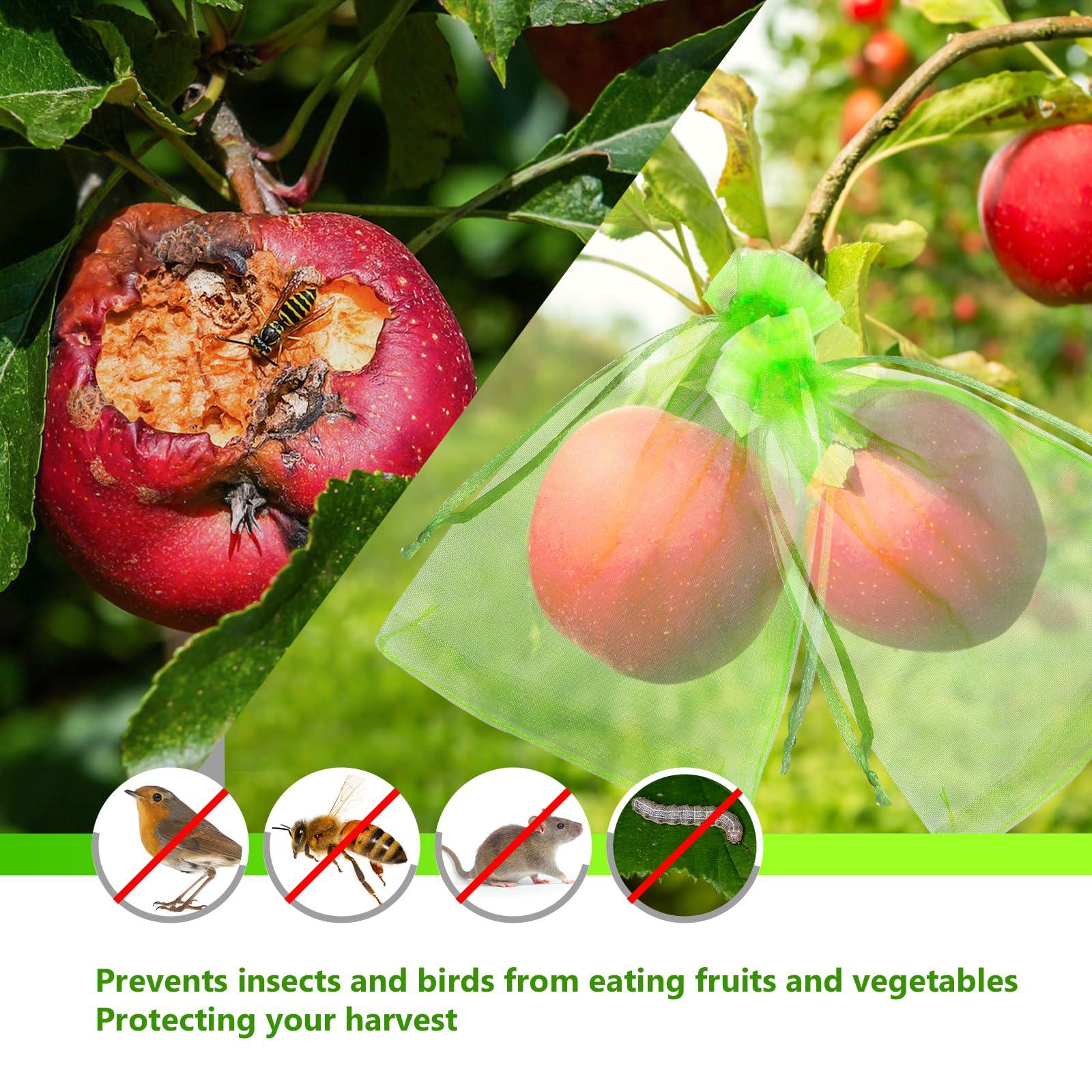 GWHOLE 50pcs 6x8 Inch Fruit Protection Bags, Fruit Cover Mesh Bags with Drawstring Fruit Tree Netting for Grape Melon Veggies Garden - Image 5