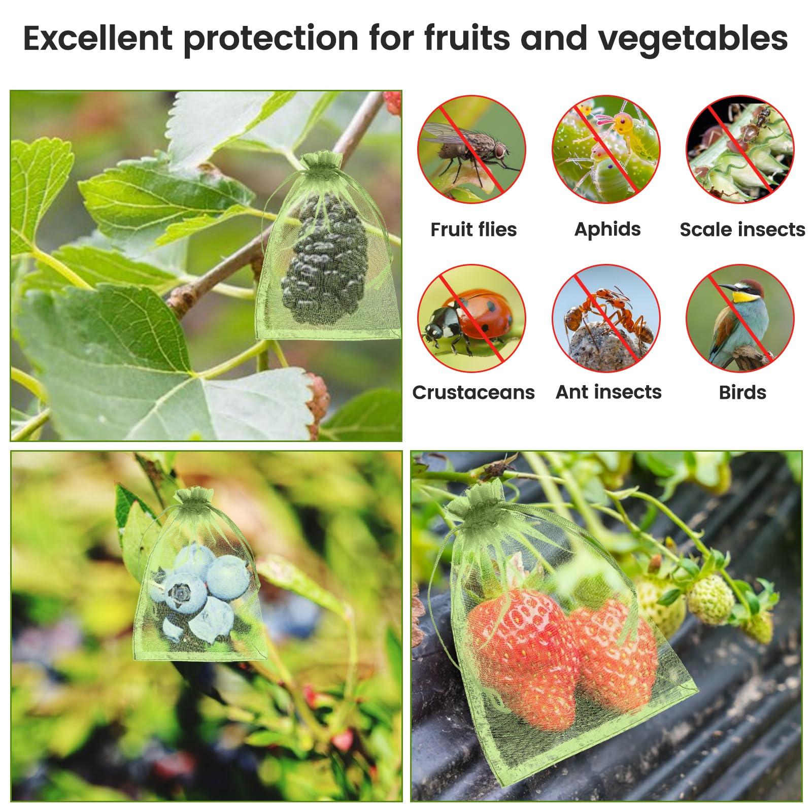 100 PCS Green Fruit Protection Bags, 4 × 6 Inch Small Drawstring Mesh Bags, Reusable Netting Fruit Protection Bags for Fruit Trees, Green Bag for Fruits Vegetables Plant - Image 6