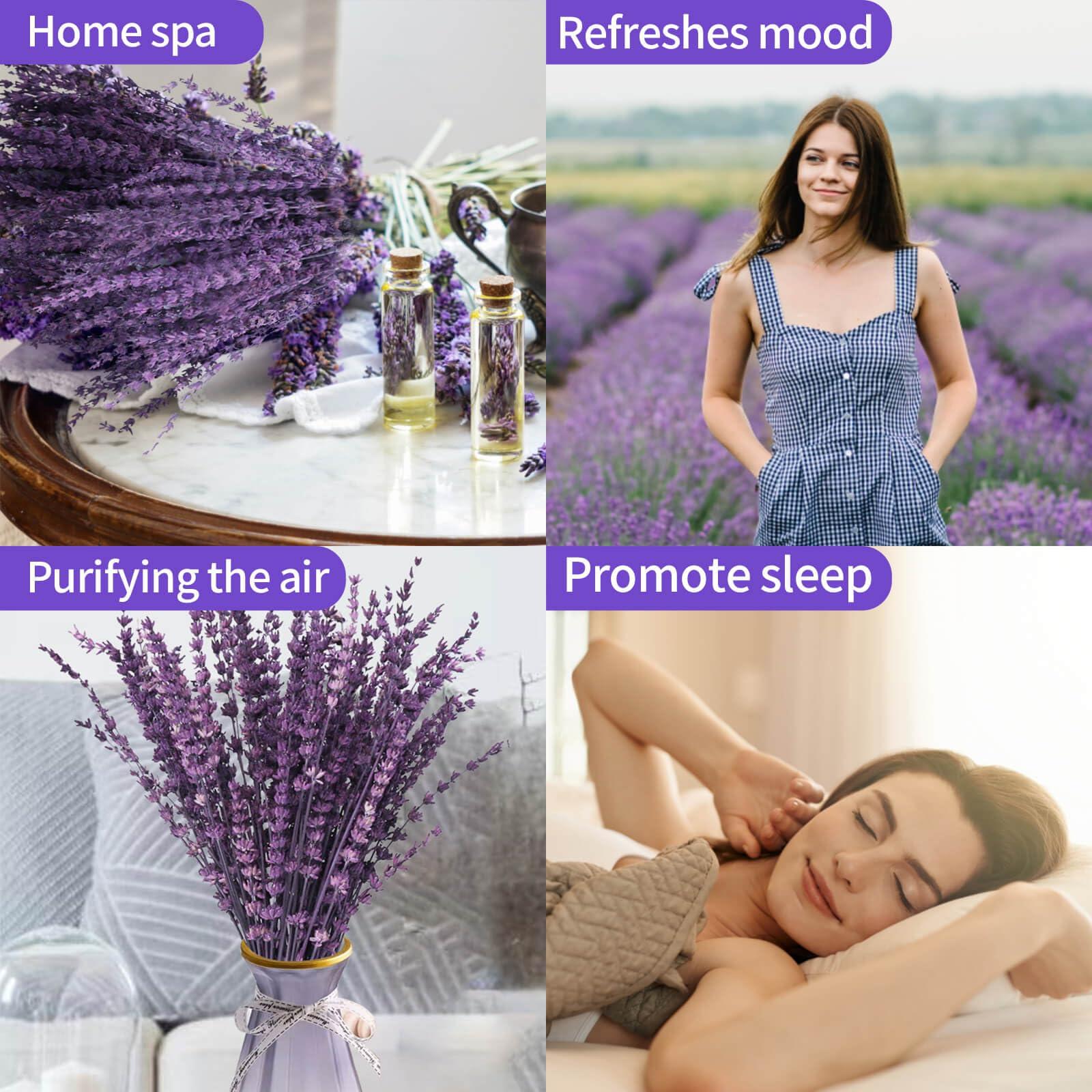 Dried Purple Lavender Flowers Bundle-Dried Preserved Lavender Bouquet 15-17" for Shower Weeding Home Vase Decor, Crafts, Aromatherapy, Fragrance, Fresh Silk Dry Live Plants, 50g(1.76oz) - Image 4