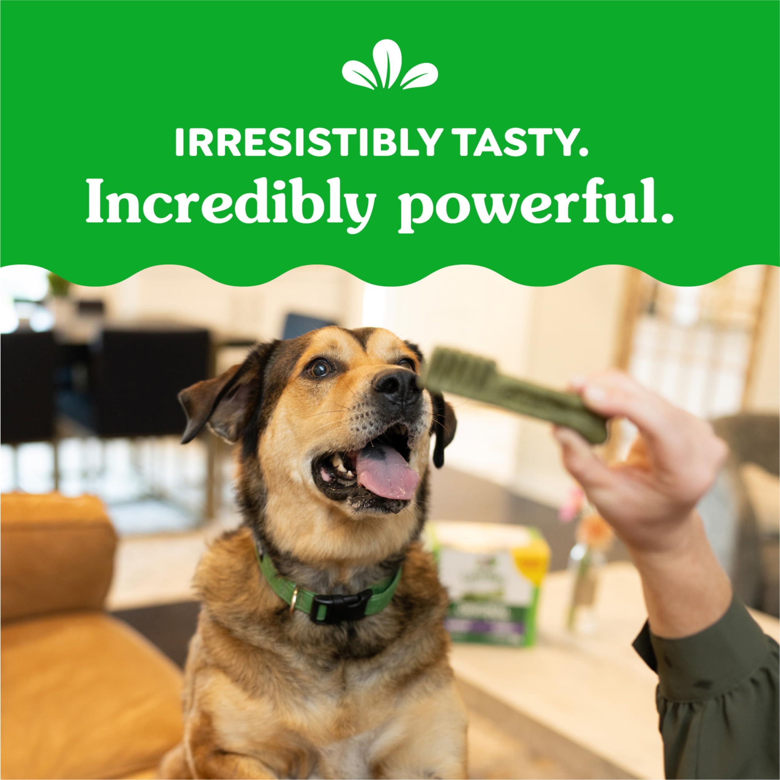 Greenies Original Large Dental Dog Treats, 36 oz. Pack (24 Treats) - Image 9
