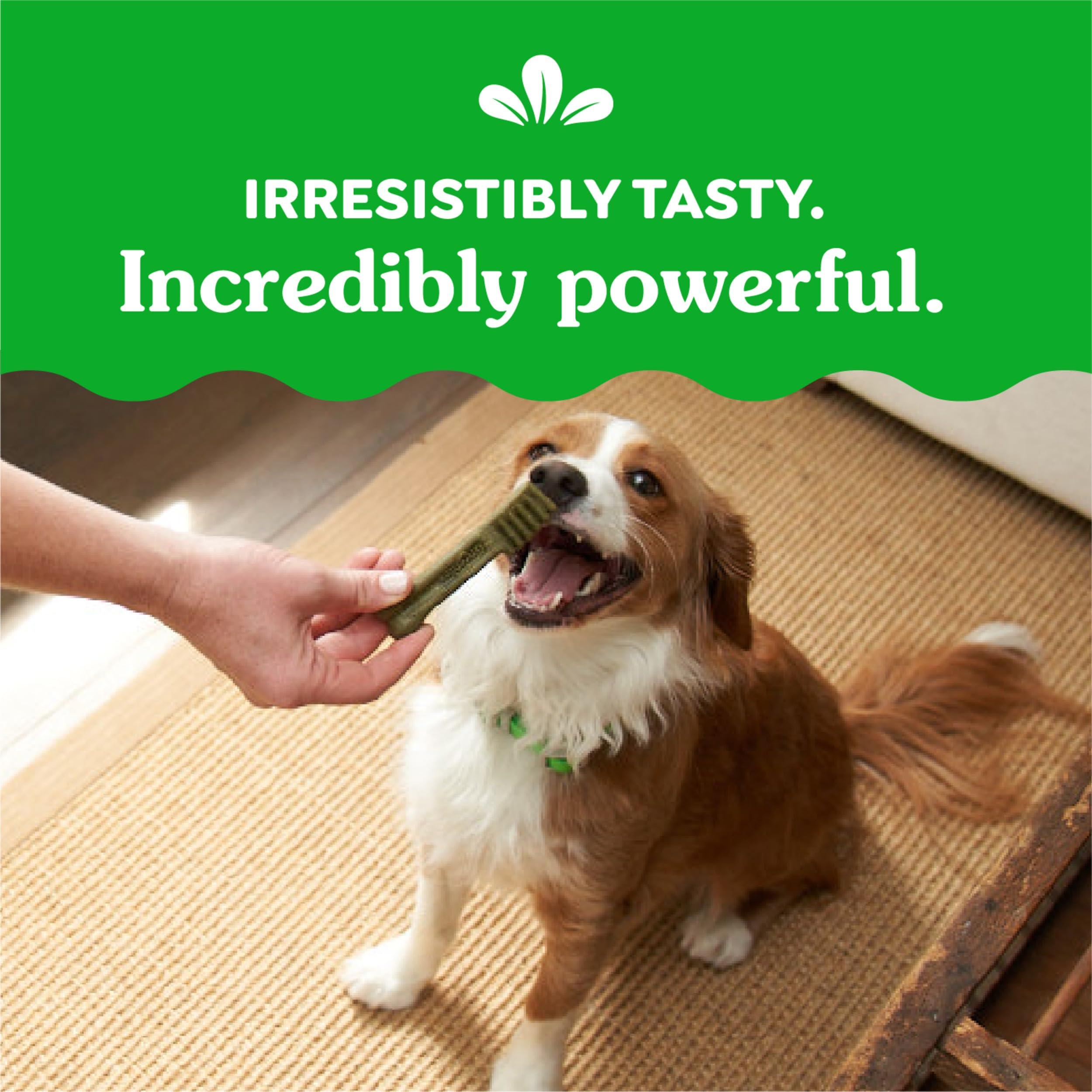 Greenies Original Petite Dental Dog Treats, 36 oz. Pack (60 Treats) - Image 9