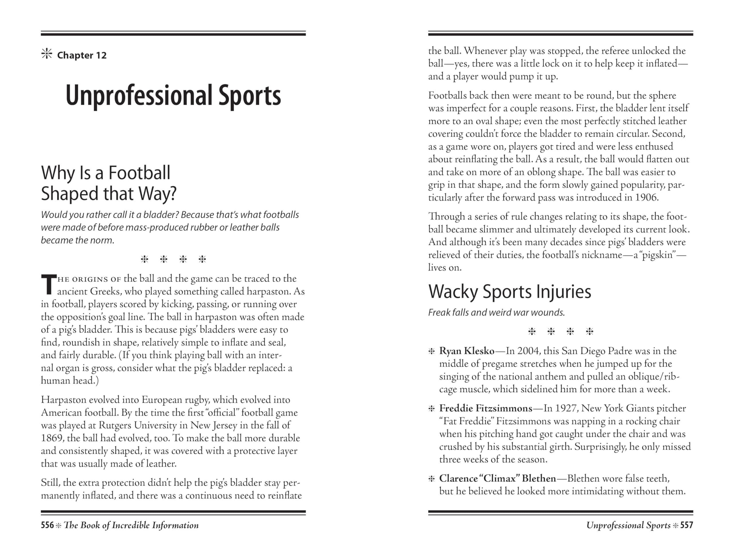 The Book of Incredible Information - Image 7