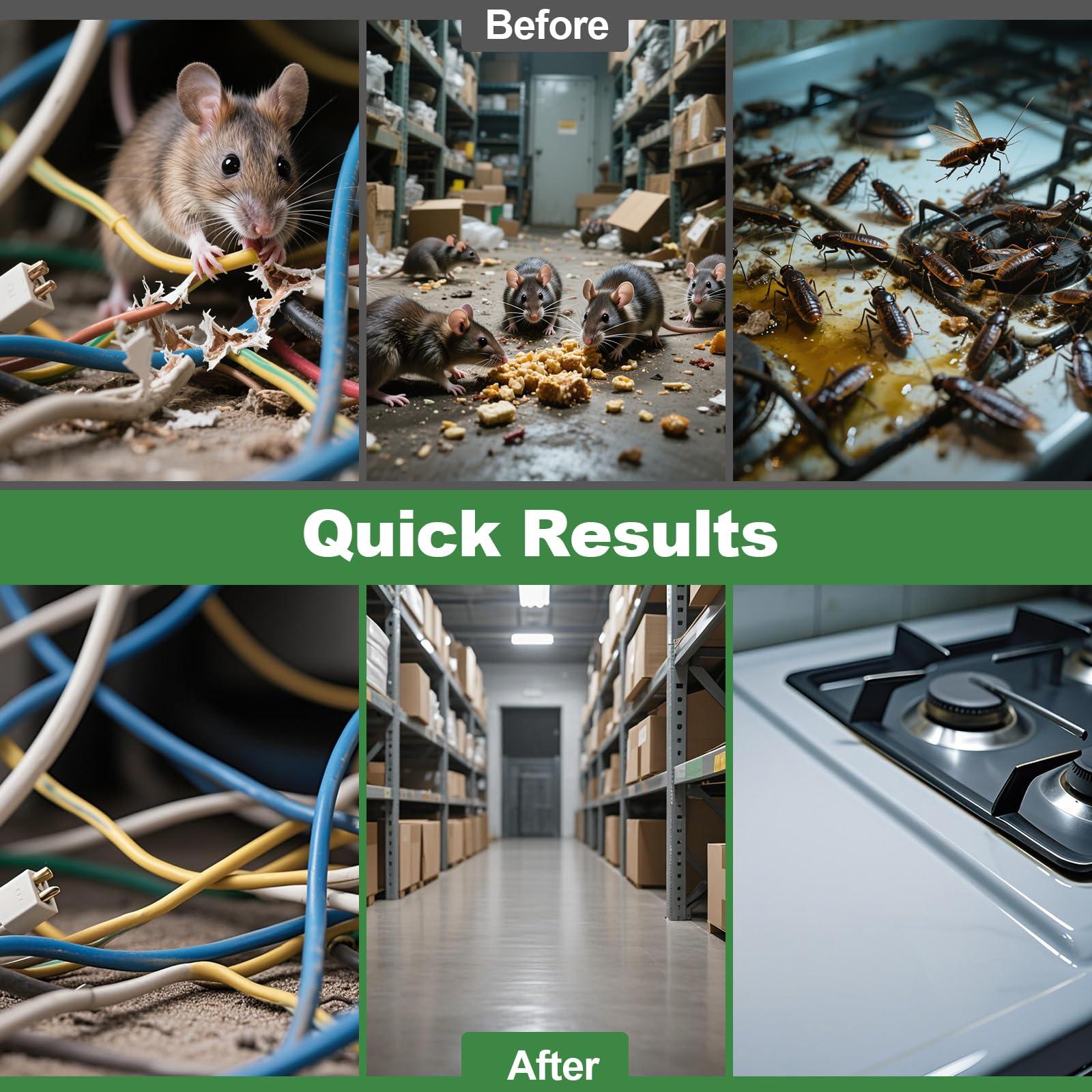 BOZFLY Mouse Rodent Repellent, 32 Pack Peppermint Oil Mice Repellent for Rats, Mice, Squirrels, Spiders and Pests, Indoor & Outdoor Natural Mouse Deterrent, Keeps Rodents Away from Garden & Home - Image 5