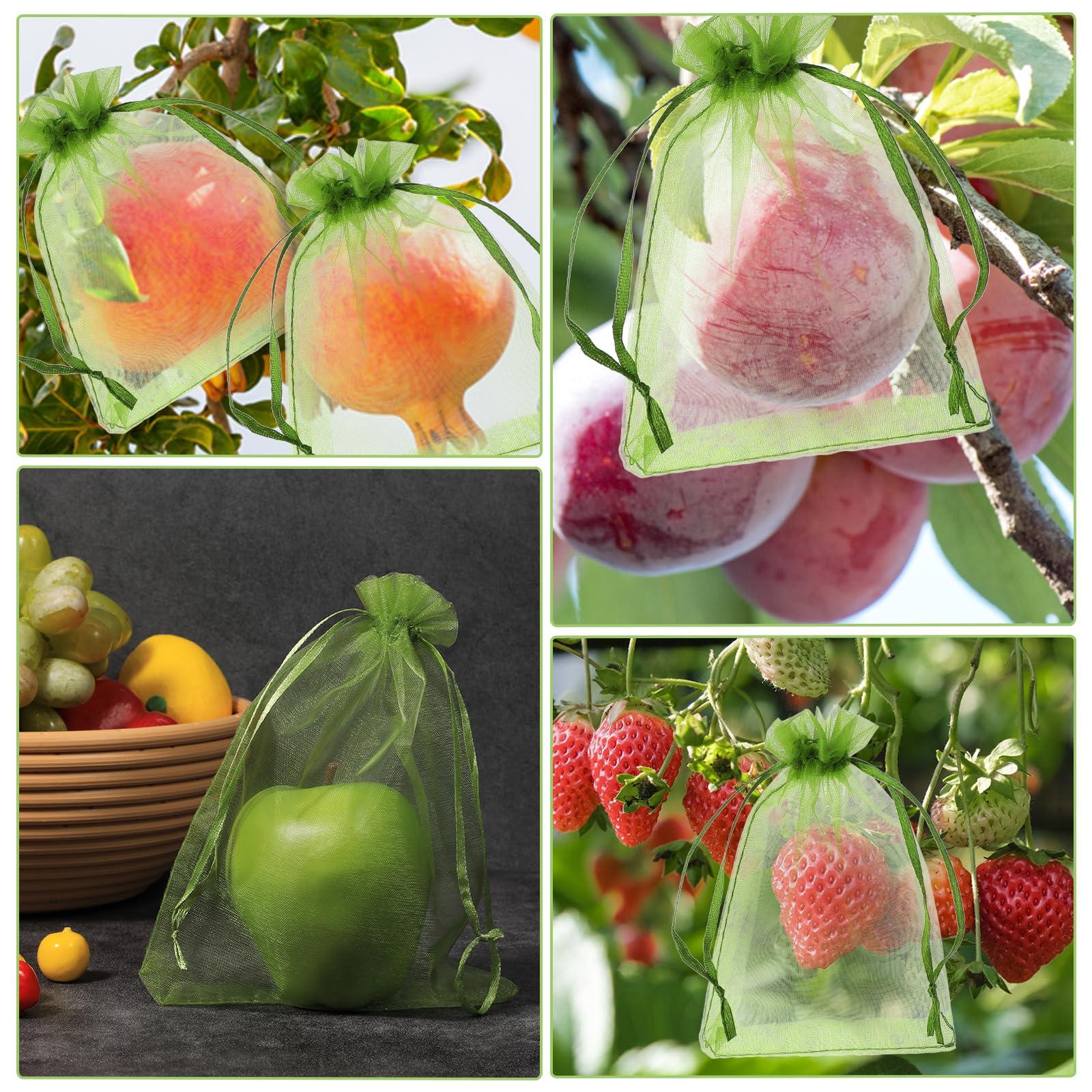 100 Pieces Green Fruit Protection Bags Fruit Protection Bags Fruit Netting Bags with Drawstring for Protecting Vegetable Net Cover Reusable Mesh Bag for Garden Apple Trees(15 * 20cm) - Image 6