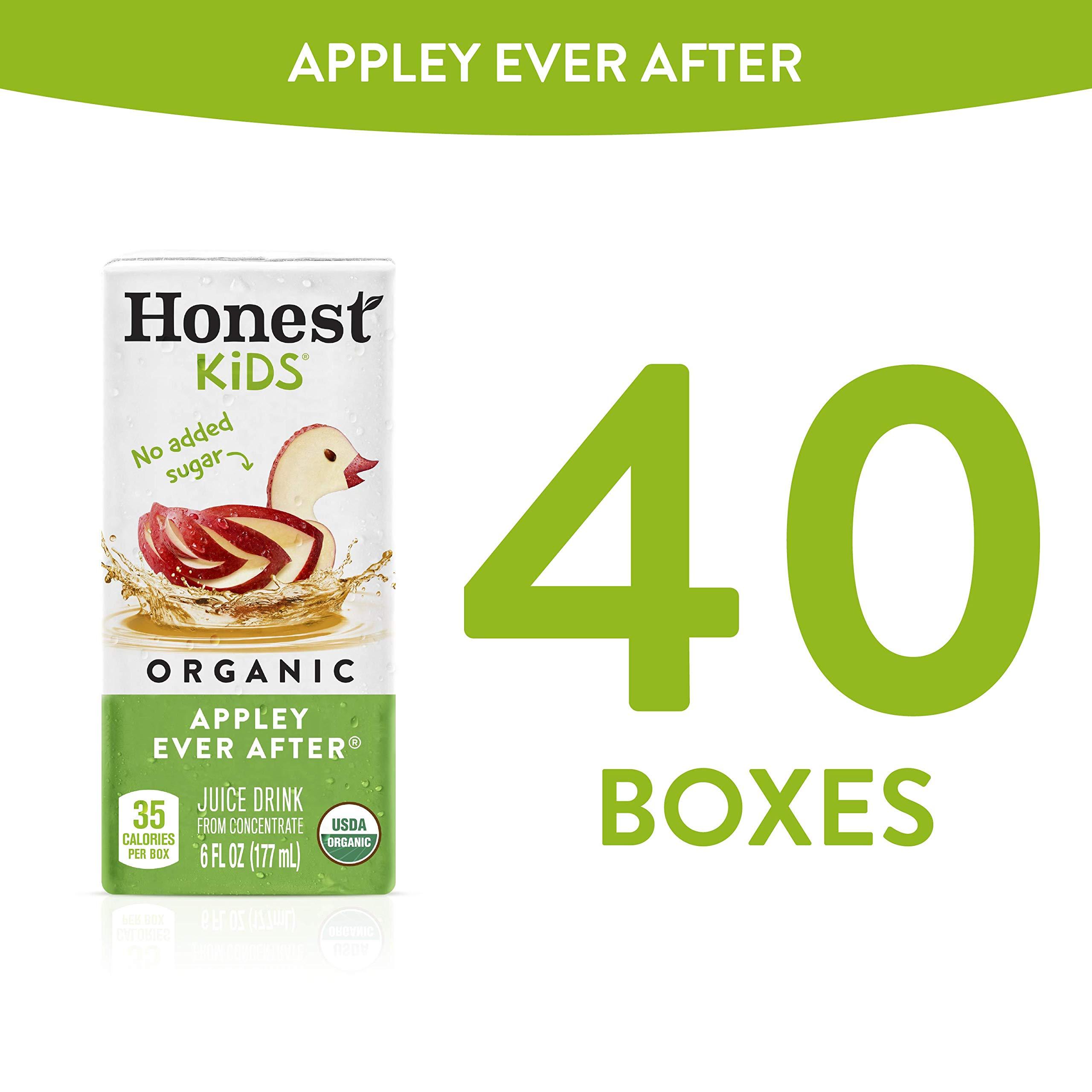 Honest Kids Appley Ever After, Organic Juice Drink, 6 Fl oz Juice Boxes, Pack Of 40, Apple - Image 5