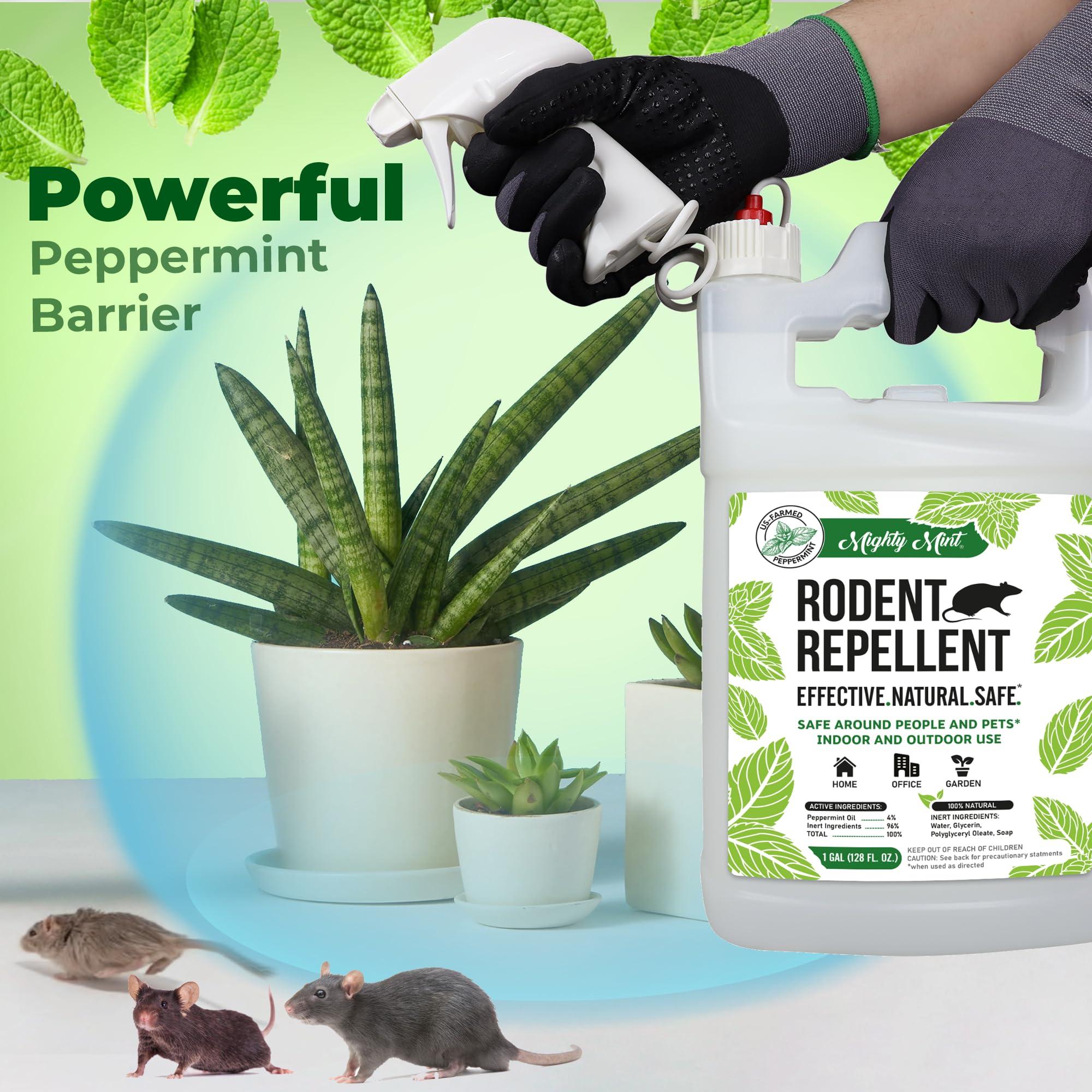 Mighty Mint Peppermint Oil Rodent Repellent Spray with Microfiber Cloth – Natural Indoor & Outdoor Control for Mice and Rats – Plant-Based, Extra-Strong Formula - 1 Gallon (128 oz) - Image 3